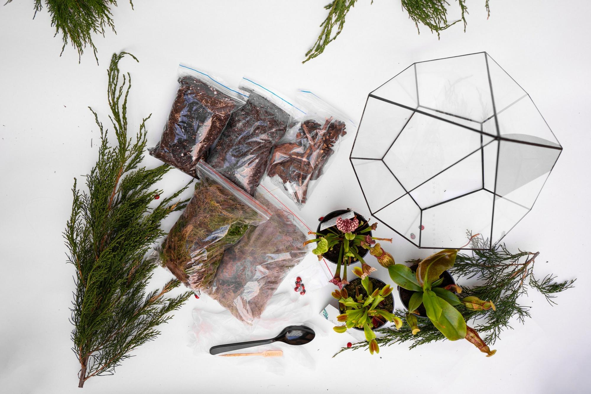 Набор "Хищная ферма в капле XL"