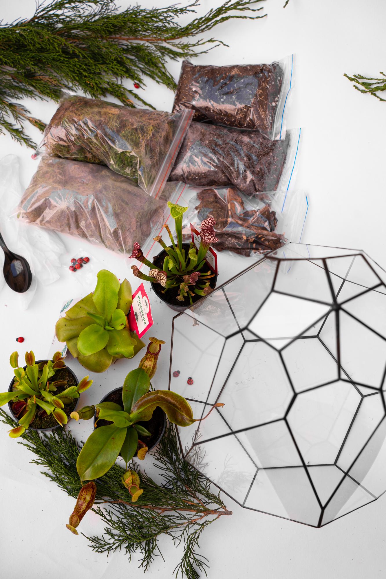 Набор "Хищная ферма в Тюльпане"