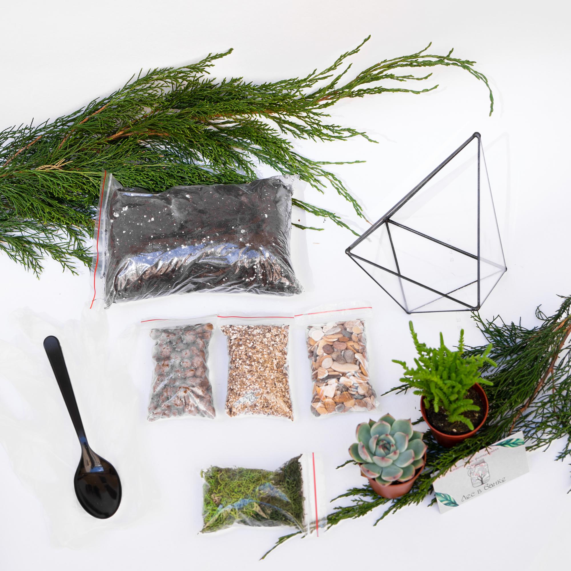 Набор "Суккуленты в вытянутом октаэдре"