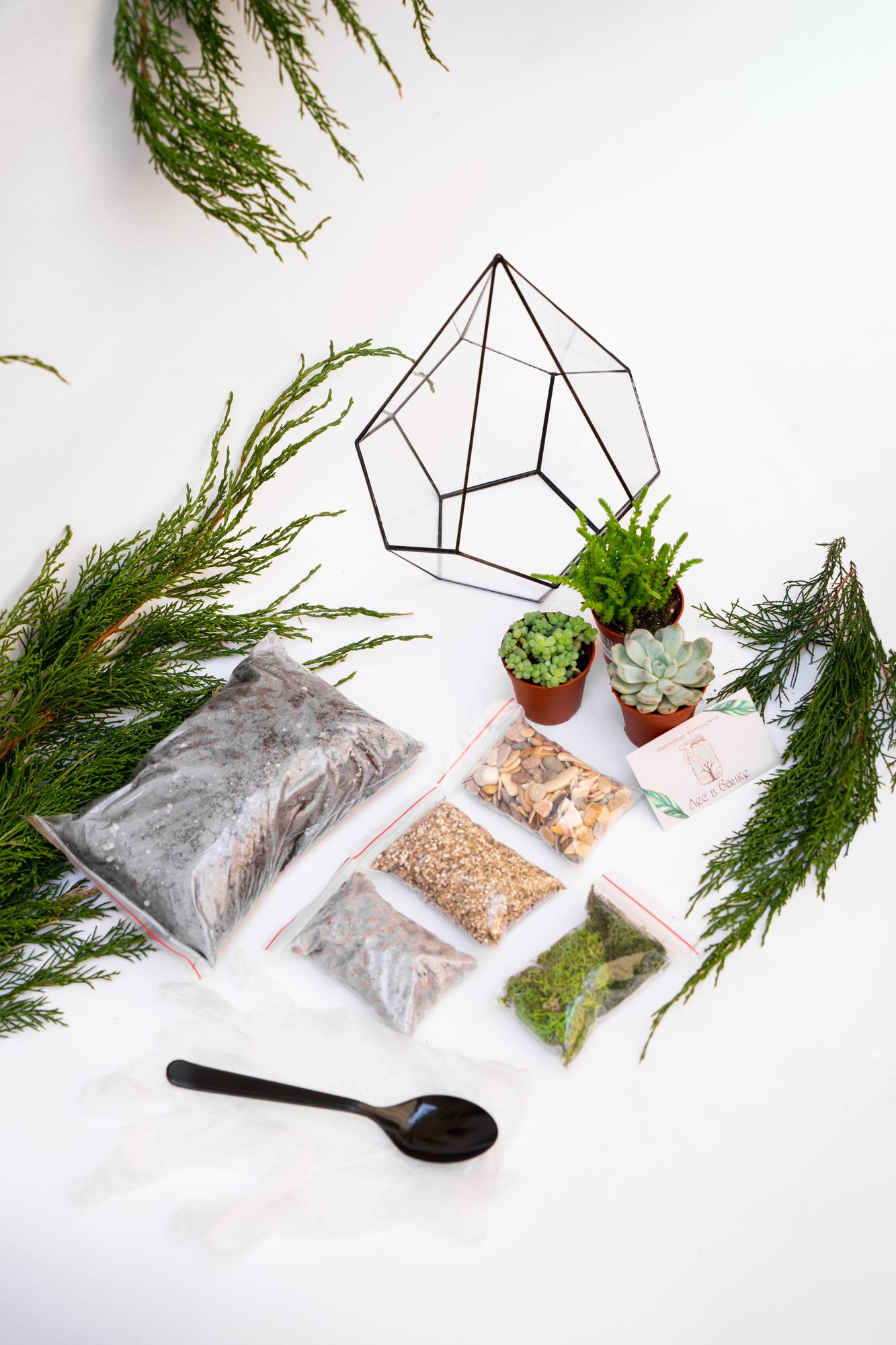 Набор "Суккуленты в капле М"