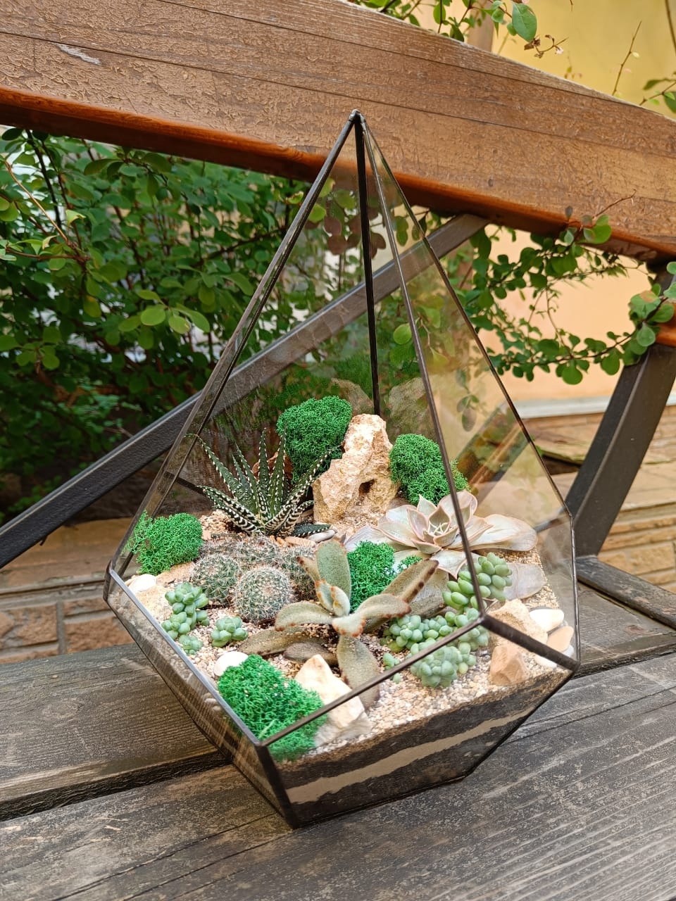 Набор "Суккуленты в капле L"