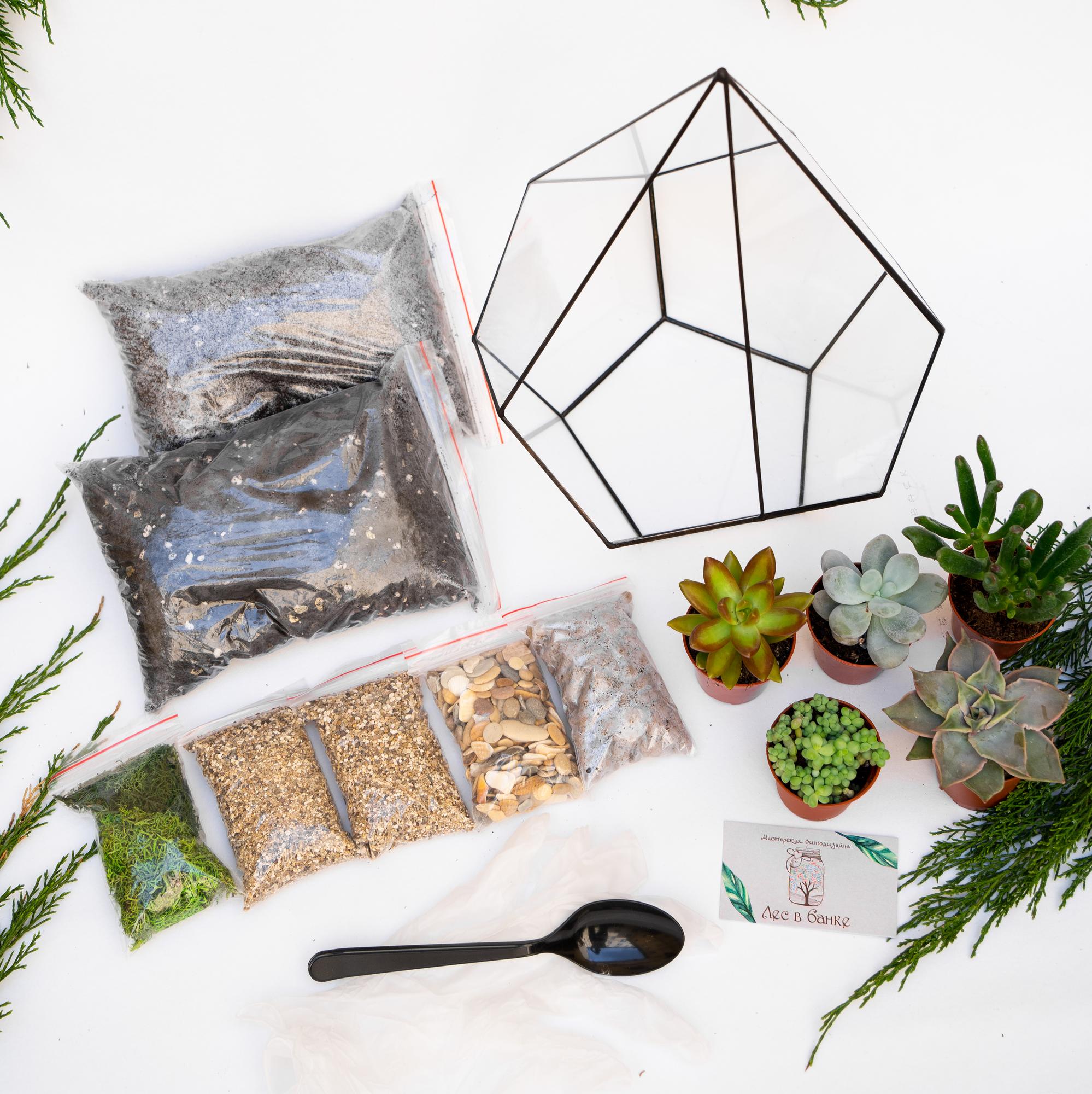 Набор "Суккуленты в капле L"