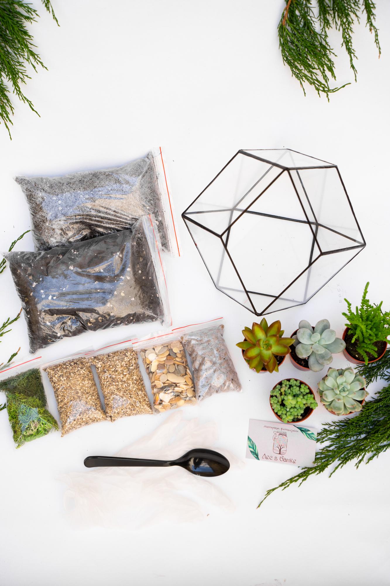 Набор "Суккуленты в ромбокапле М"