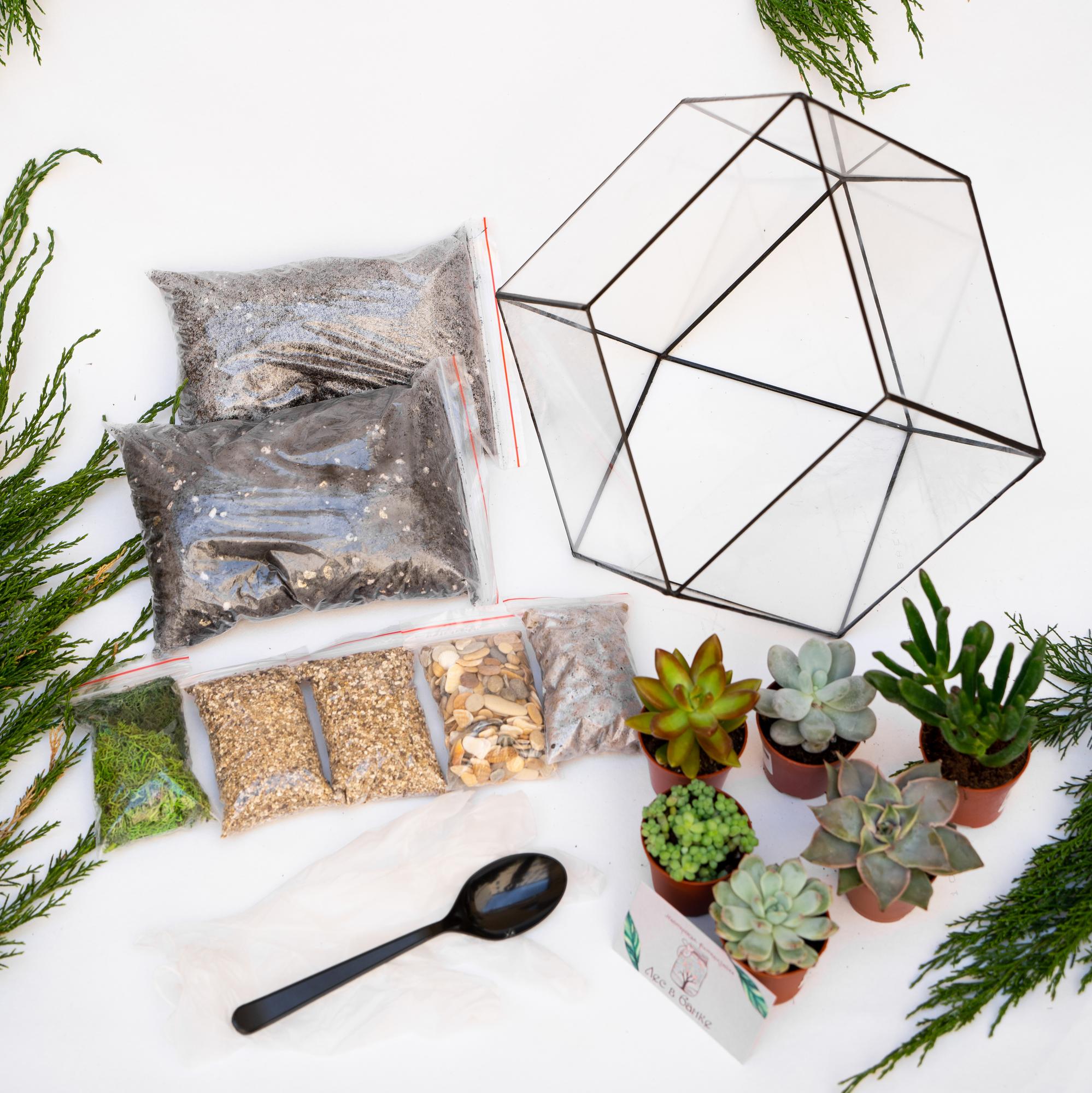 Набор "Суккуленты в ромбокапле L"