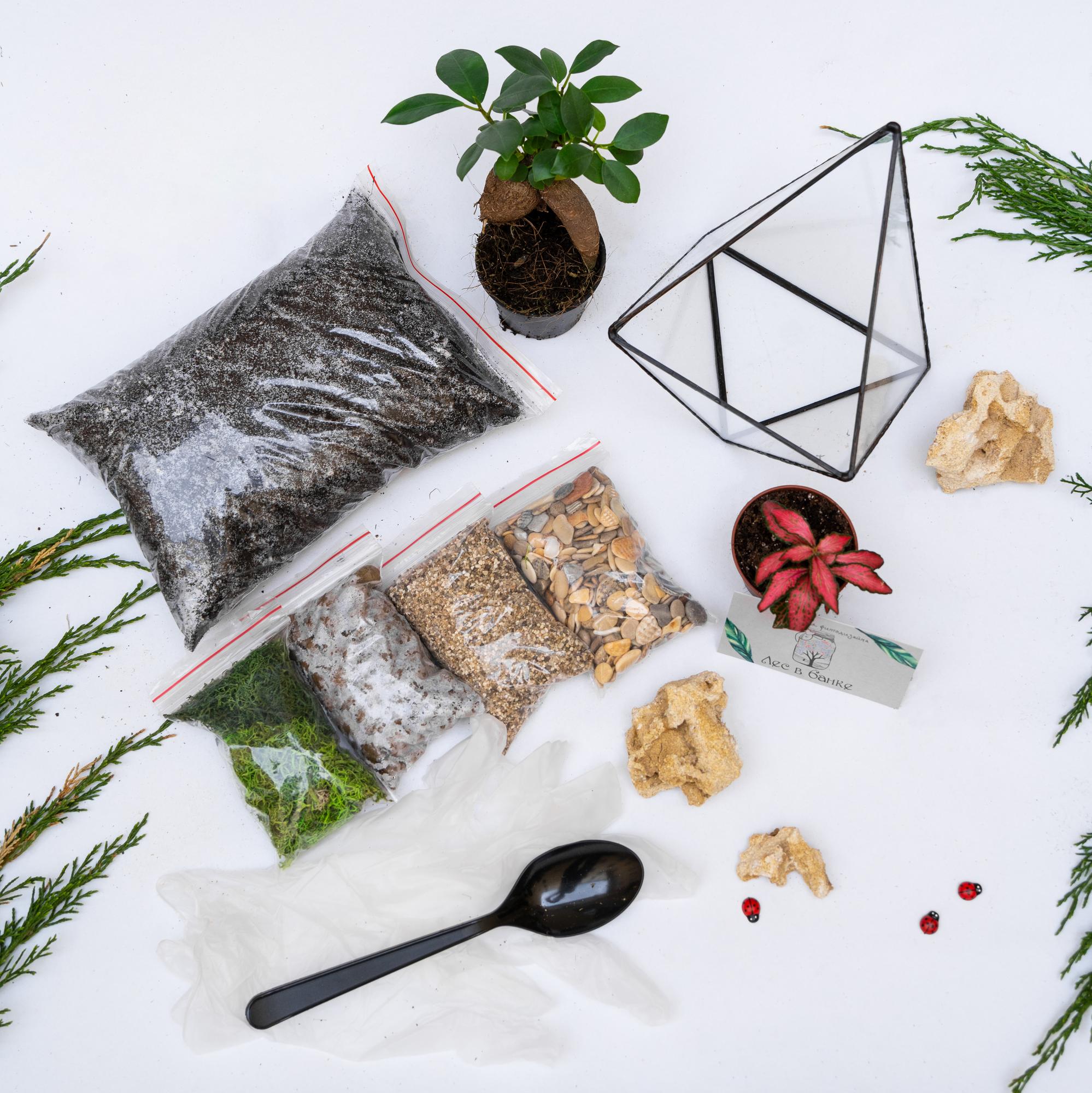 Набор "Бонсай в вытянутом октаэдре S"