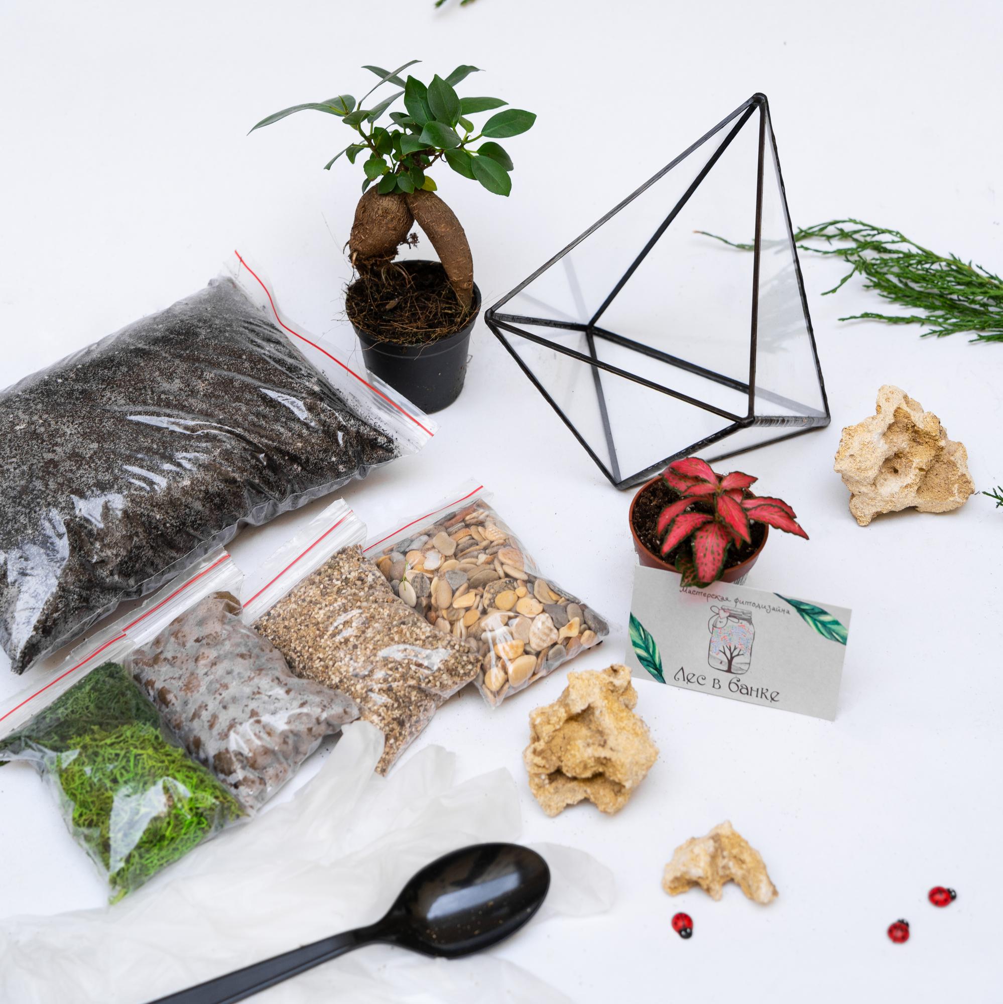 Набор "Бонсай в вытянутом октаэдре S"