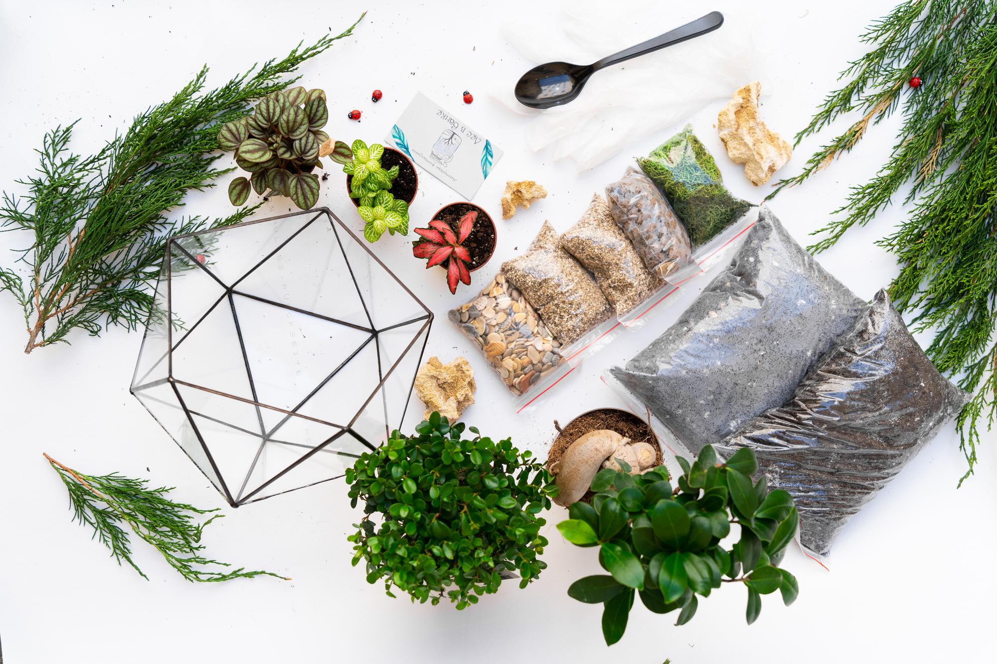 Набор "Бонсай в икосаэдре L"