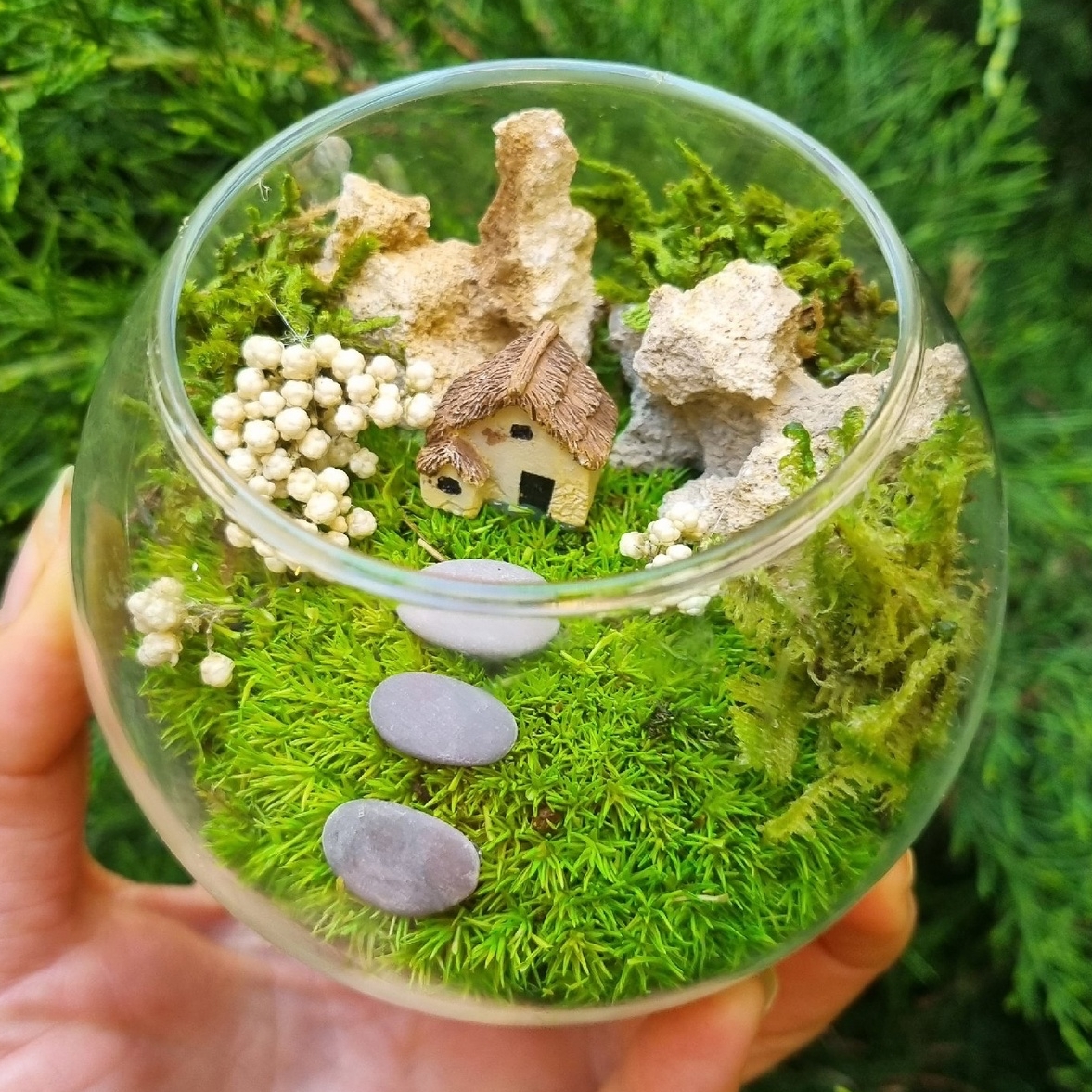 Моссариум S