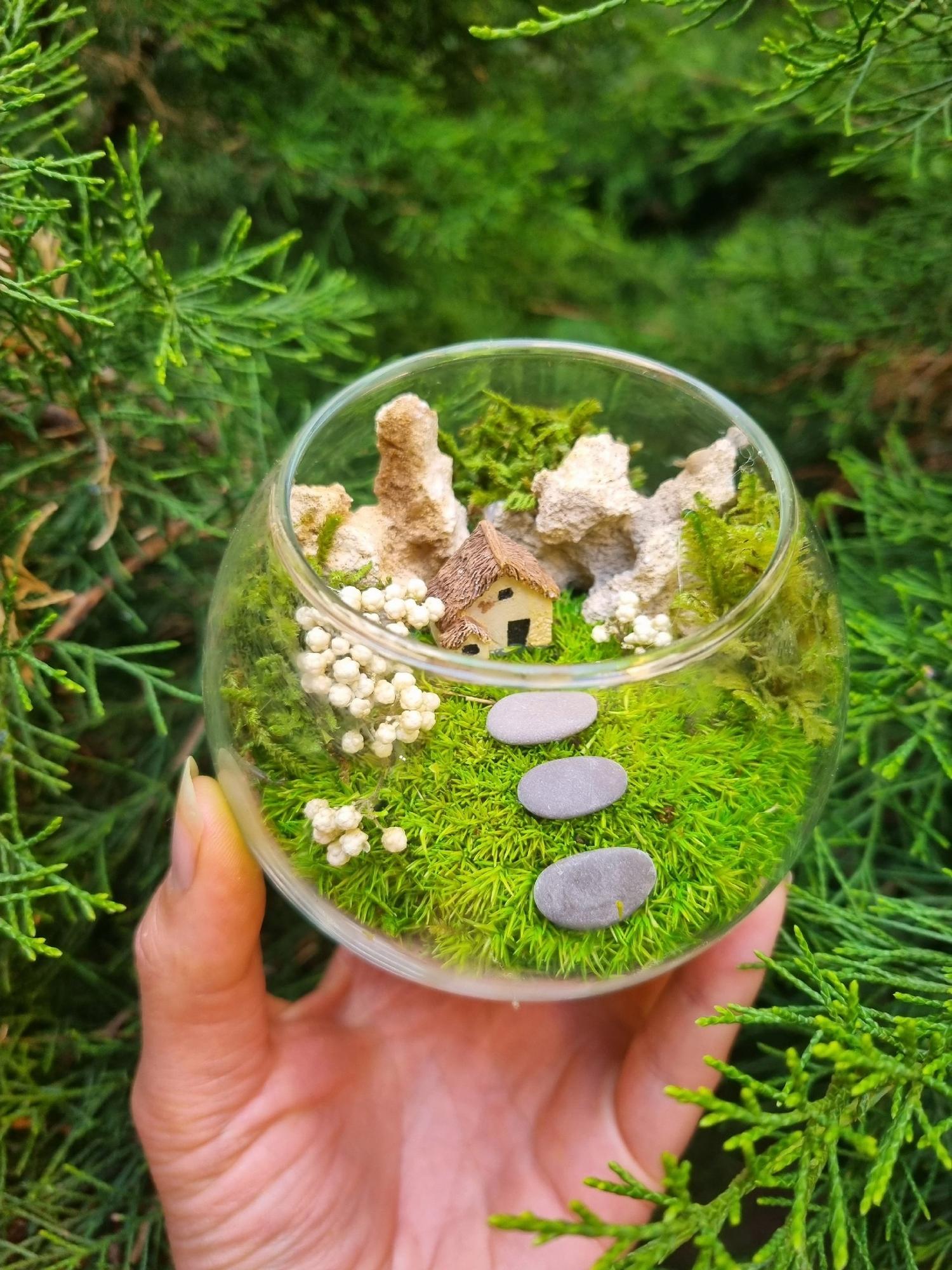 Моссариум S