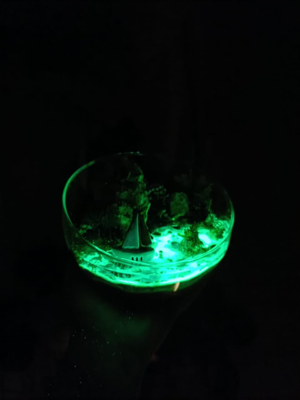 Моссариум M