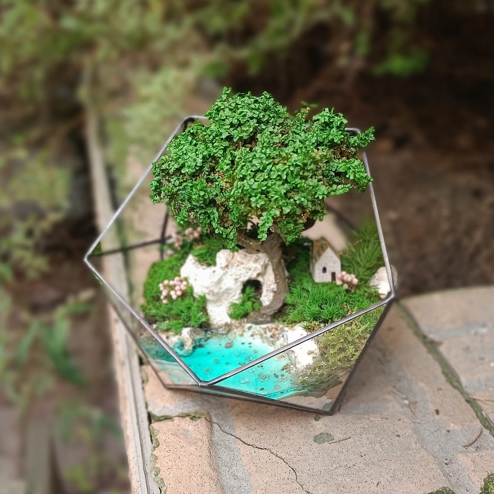 Моссариум в икосаэдре М