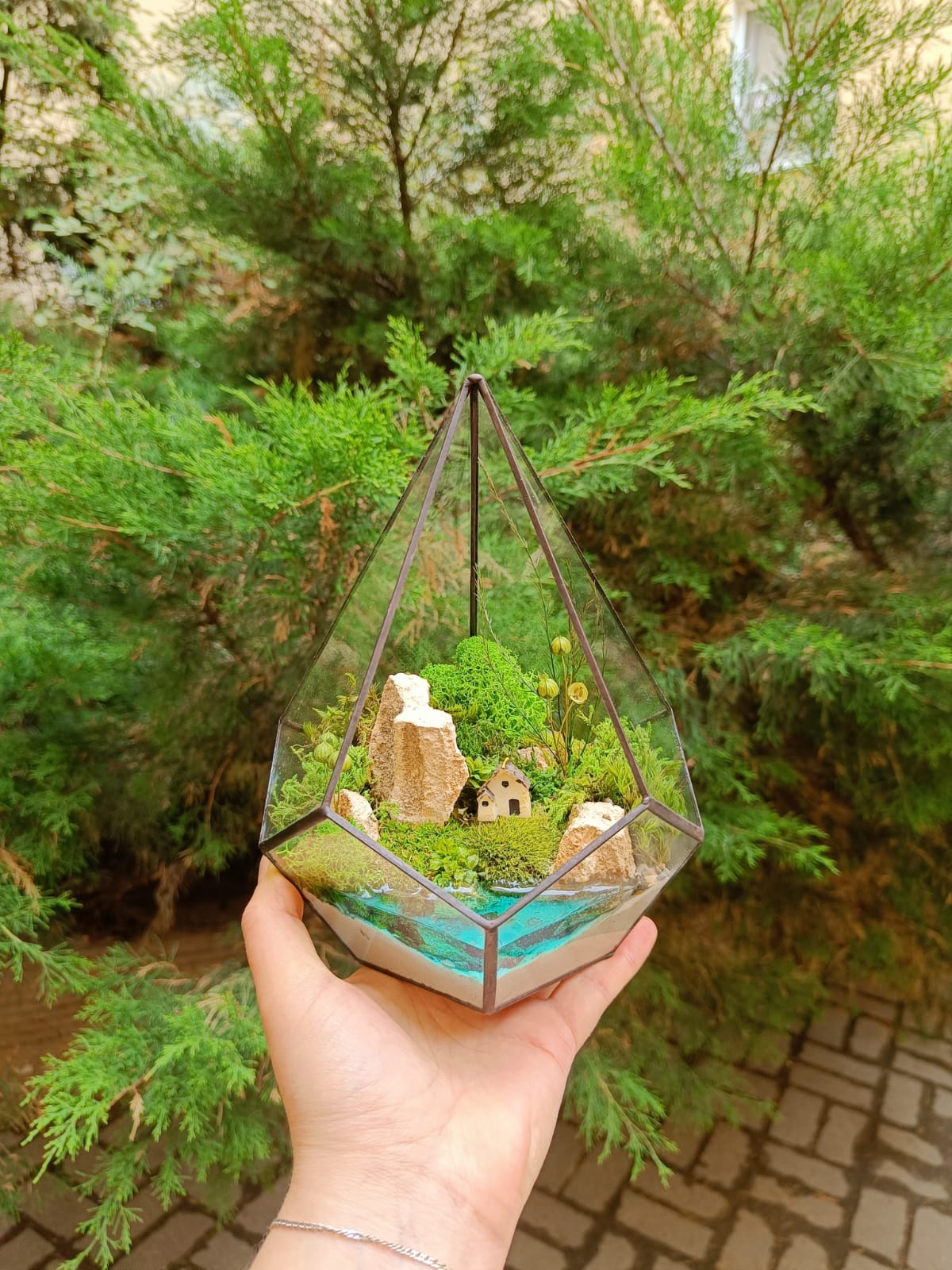 Моссариум в капле S