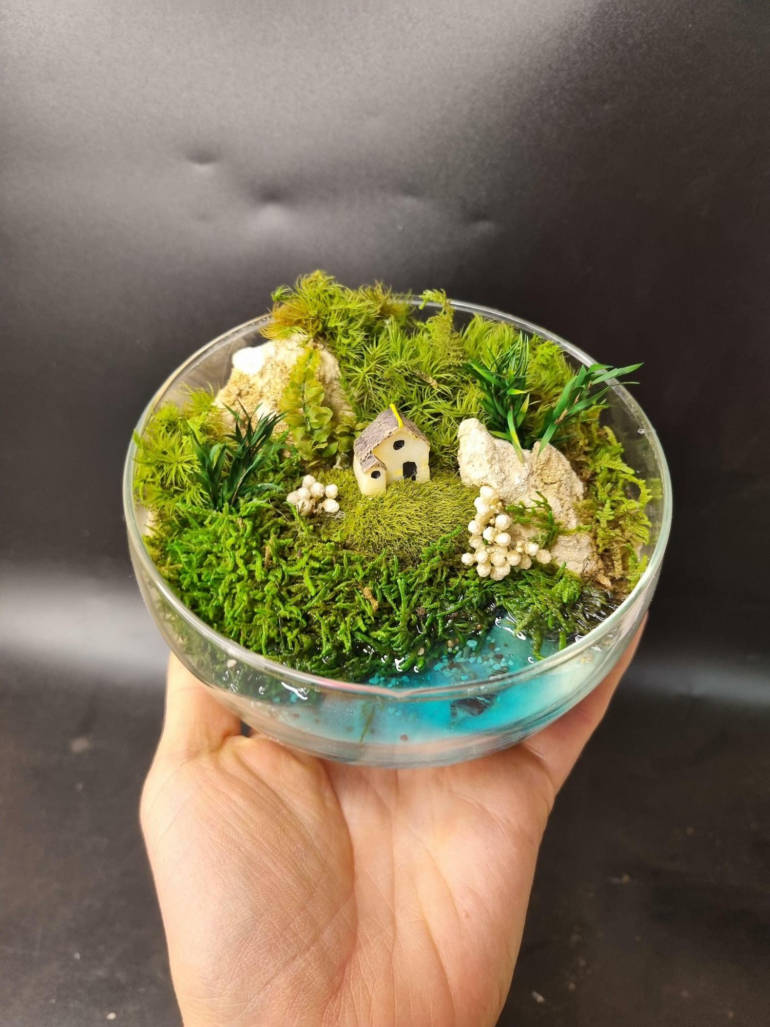 Моссариум в сфере S с домиком