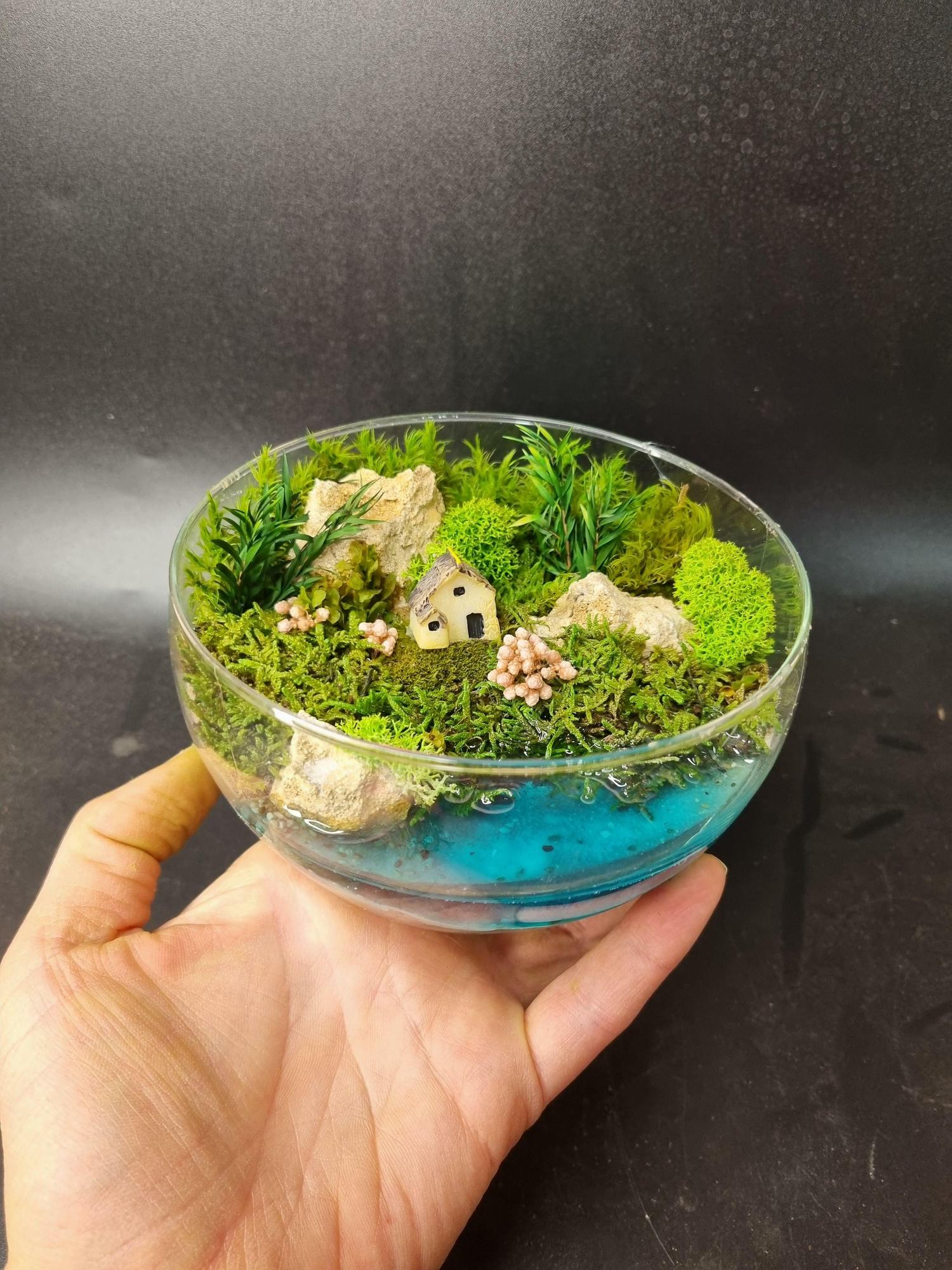 Моссариум в сфере S с домиком