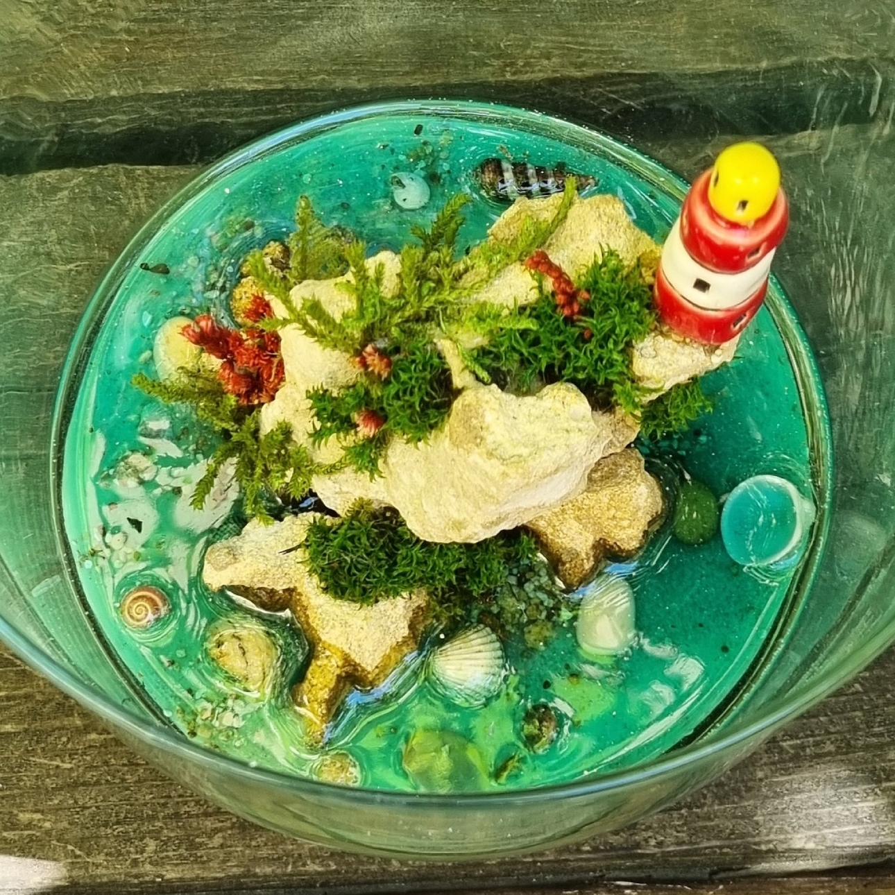 Моссариум в колбе с крышком