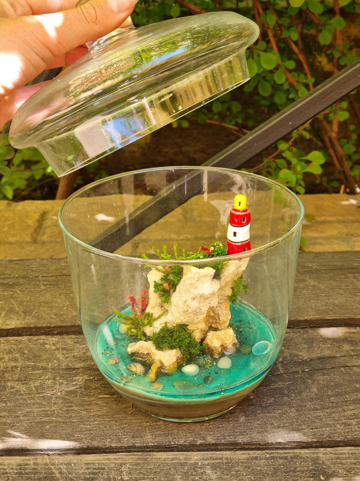 Моссариум в колбе с крышком