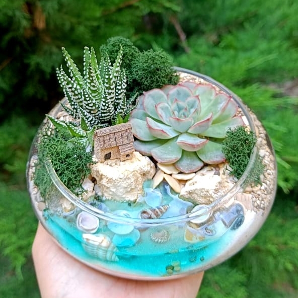 Минимир S в плошке