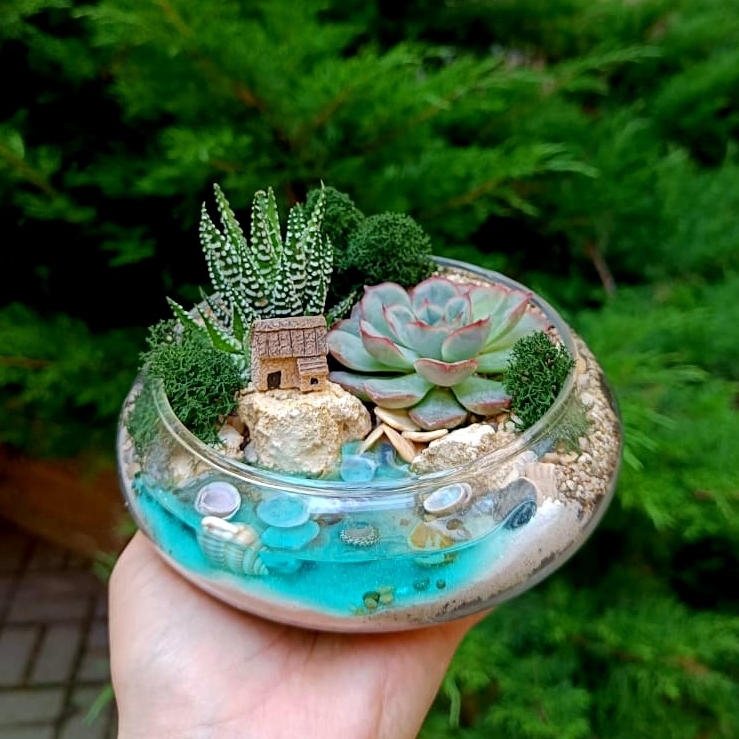 Минимир S в плошке