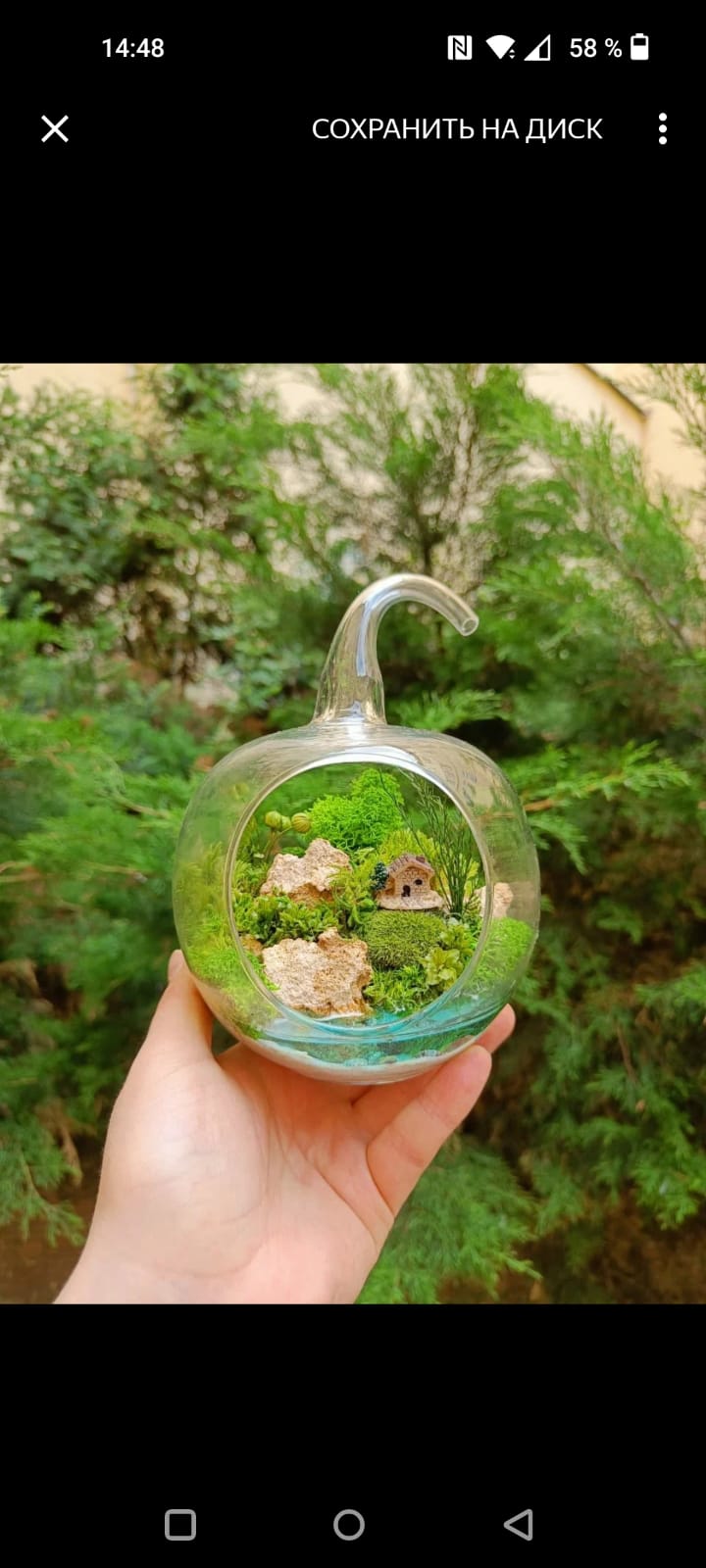 Моссариум яблочко с домиком