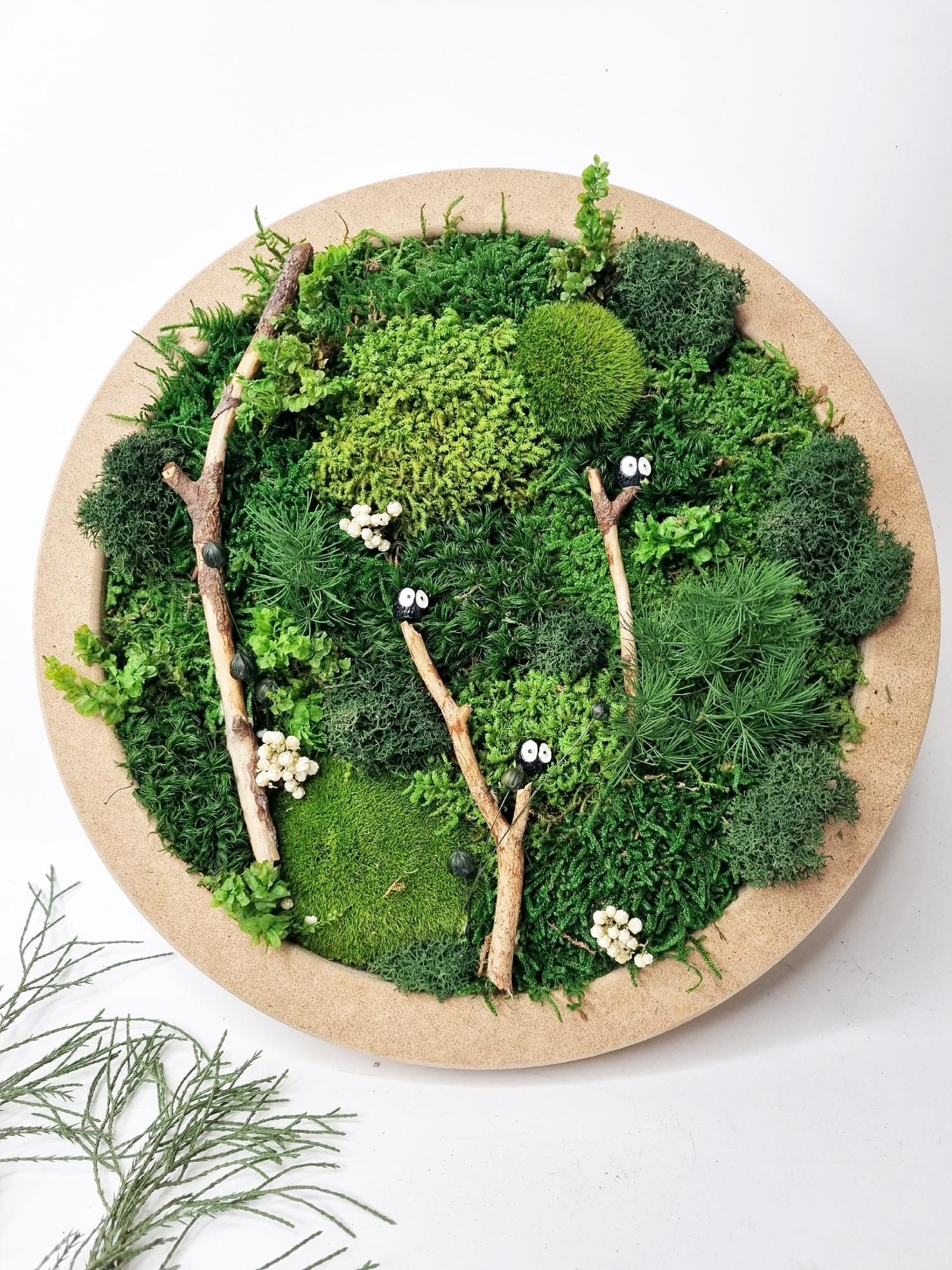 Набор "Сделай сам фитокартину D25 см"