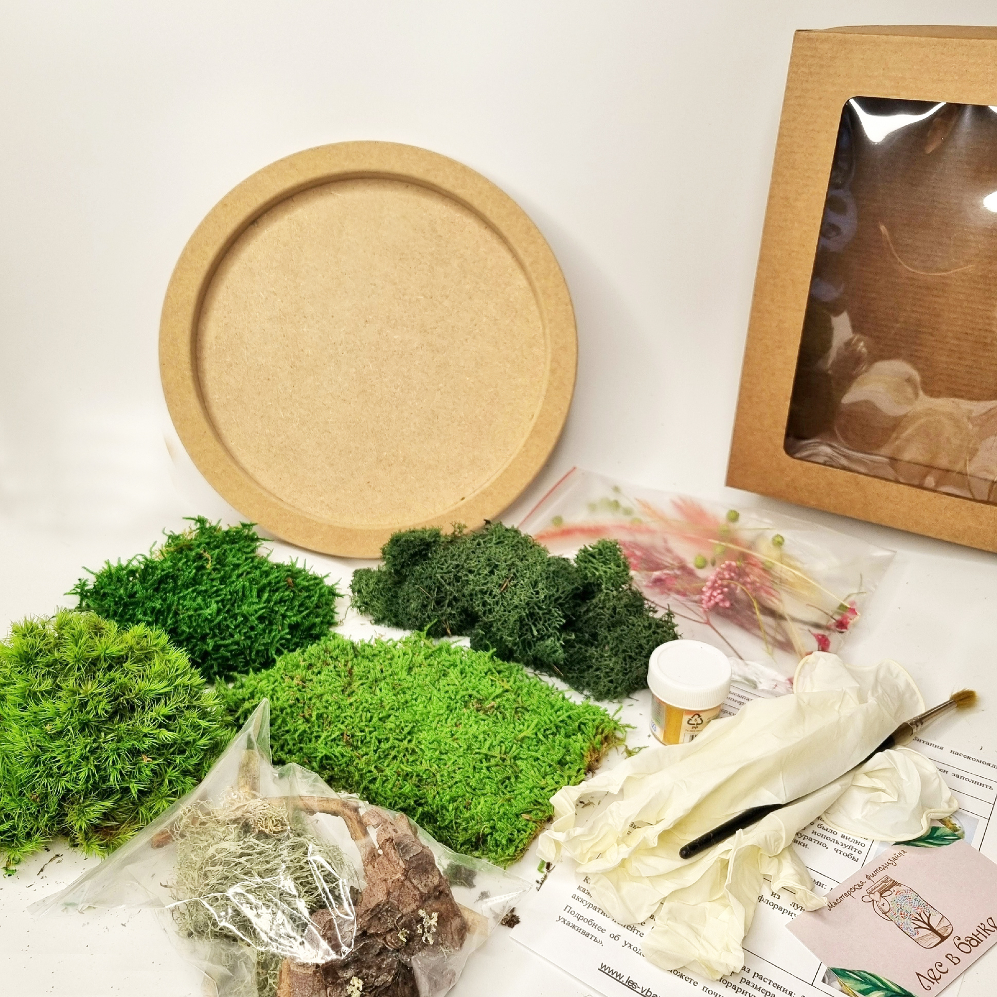 Набор "Сделай сам фитокартину D25 см"