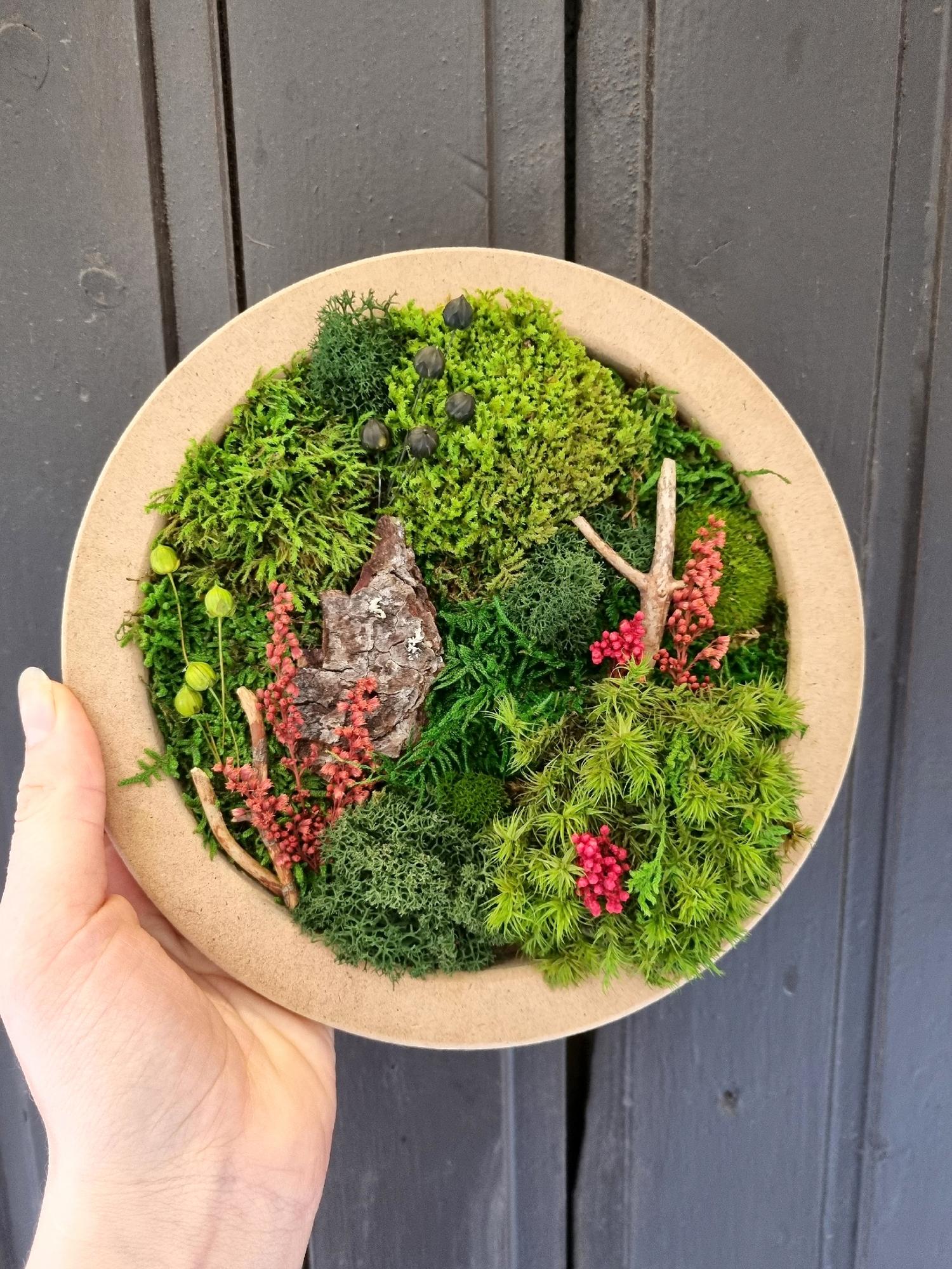 Набор "Сделай сам фитокартину D20 см"