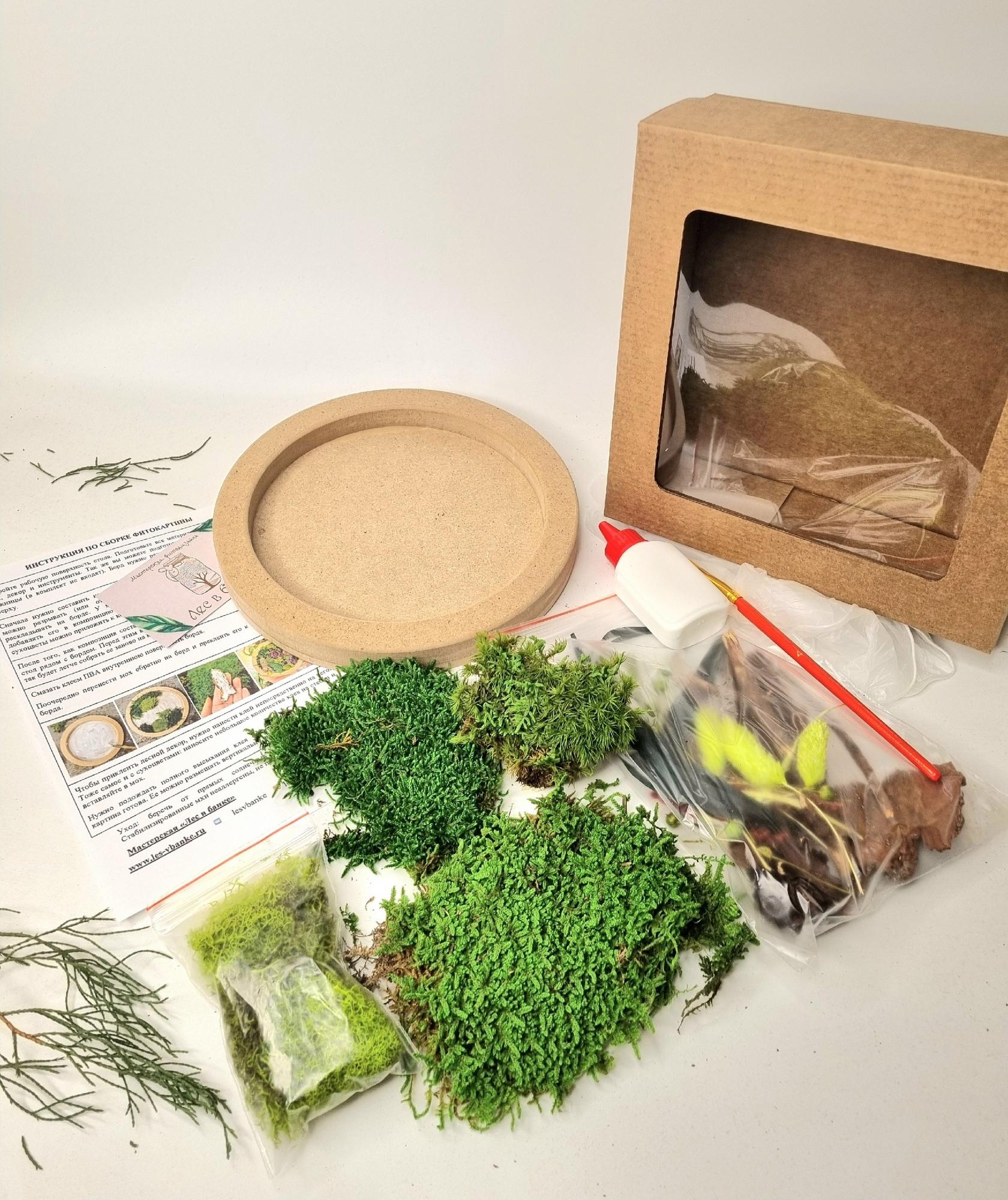 Набор "Сделай сам фитокартину D20 см"