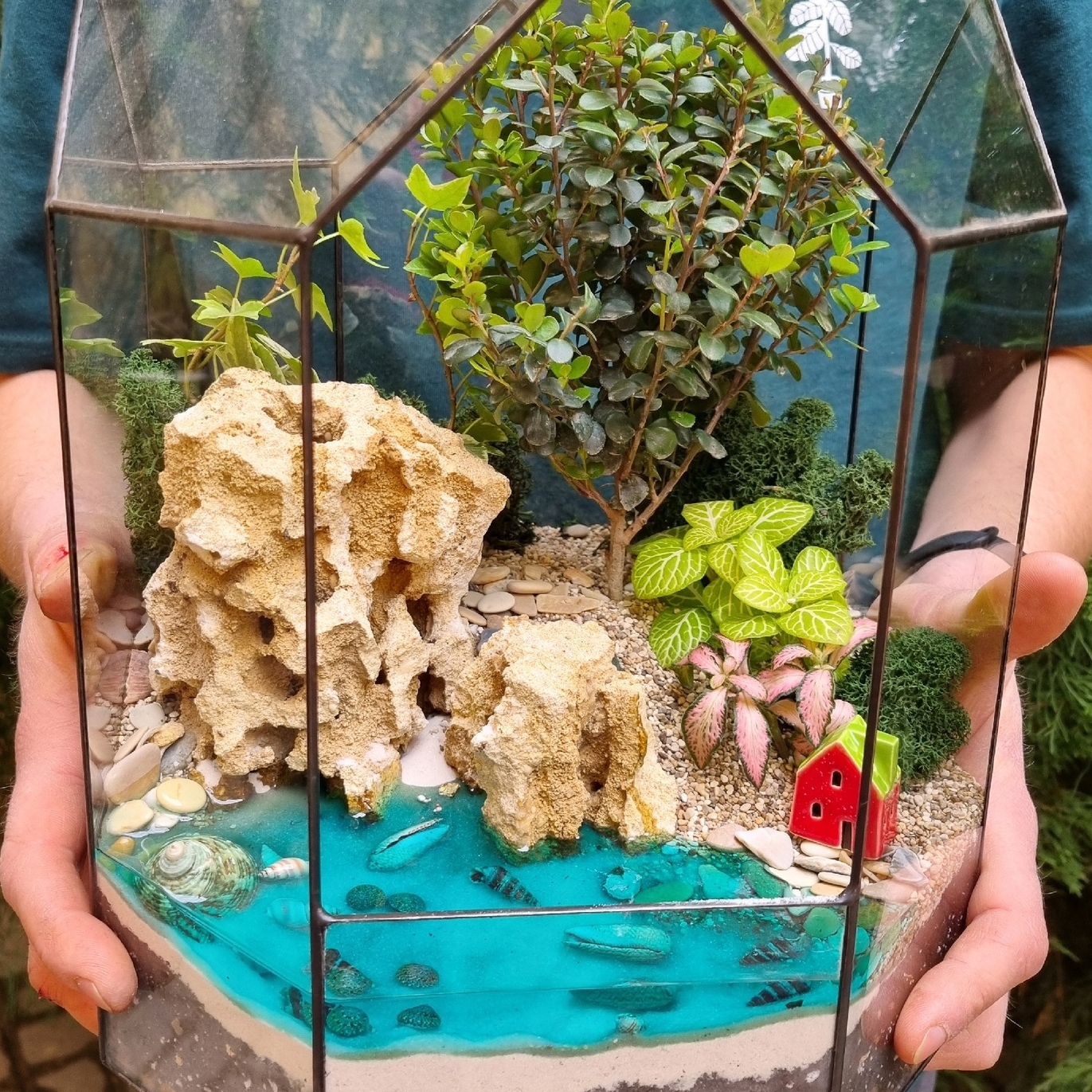 Бонсай в тепличке М с имитацией воды