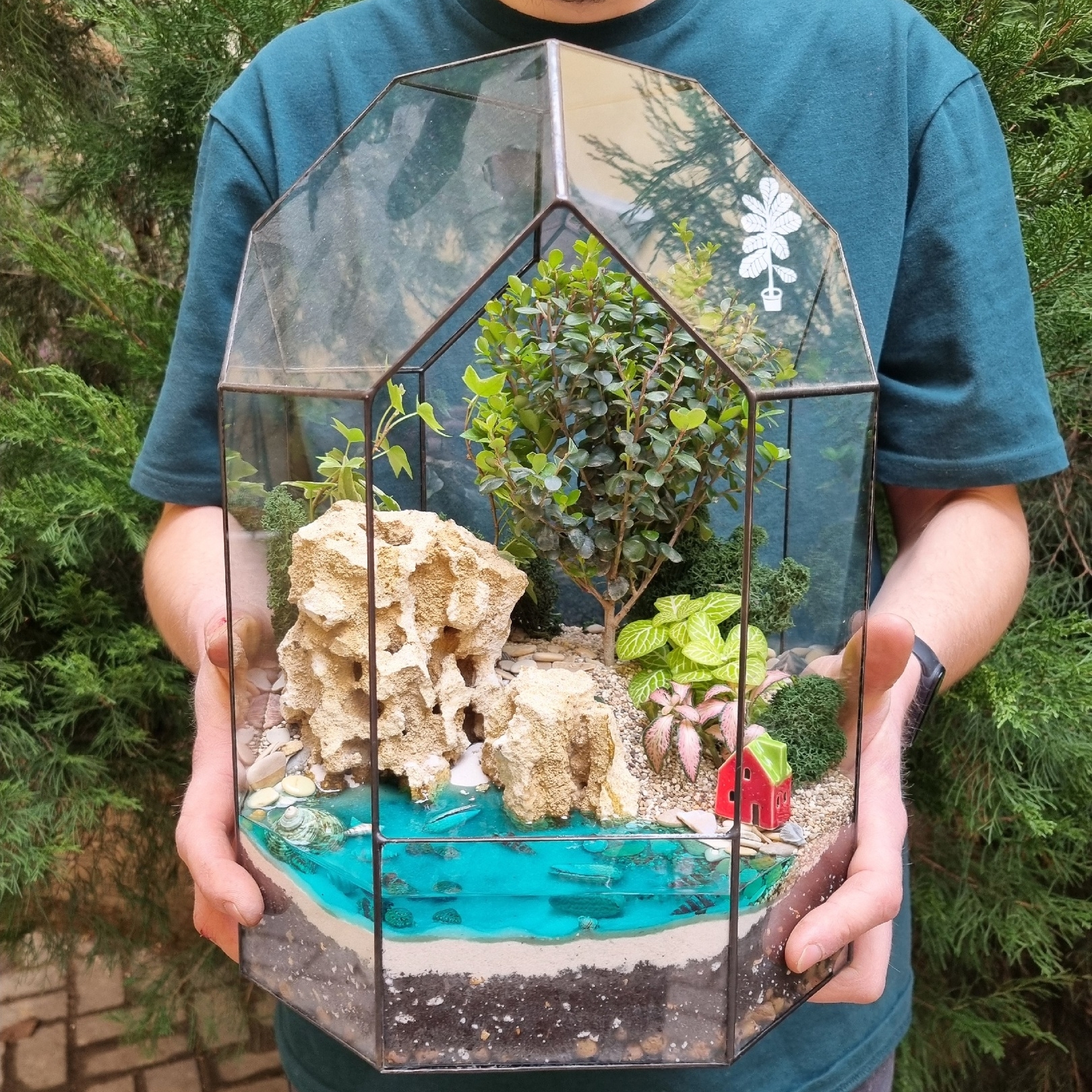 Бонсай в тепличке М с имитацией воды