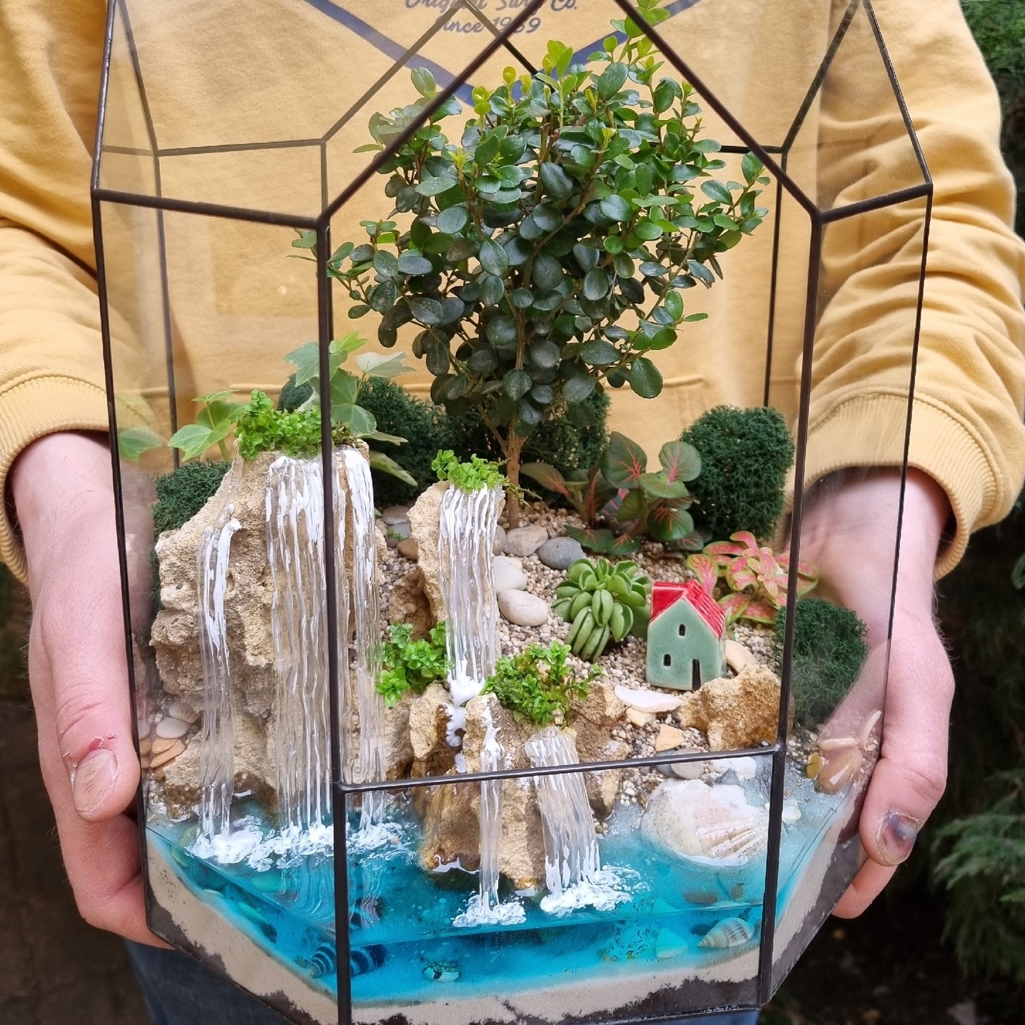 Бонсай в тепличке М с водопадом