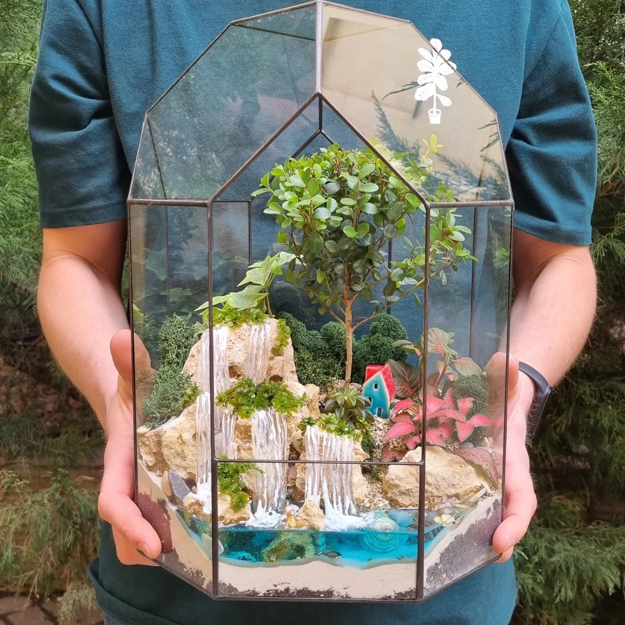 Бонсай в тепличке М с водопадом