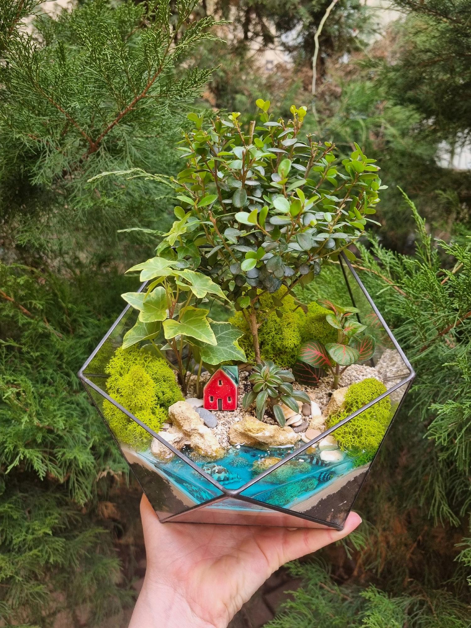 Бонсай в икосаэдре L с имитацией воды