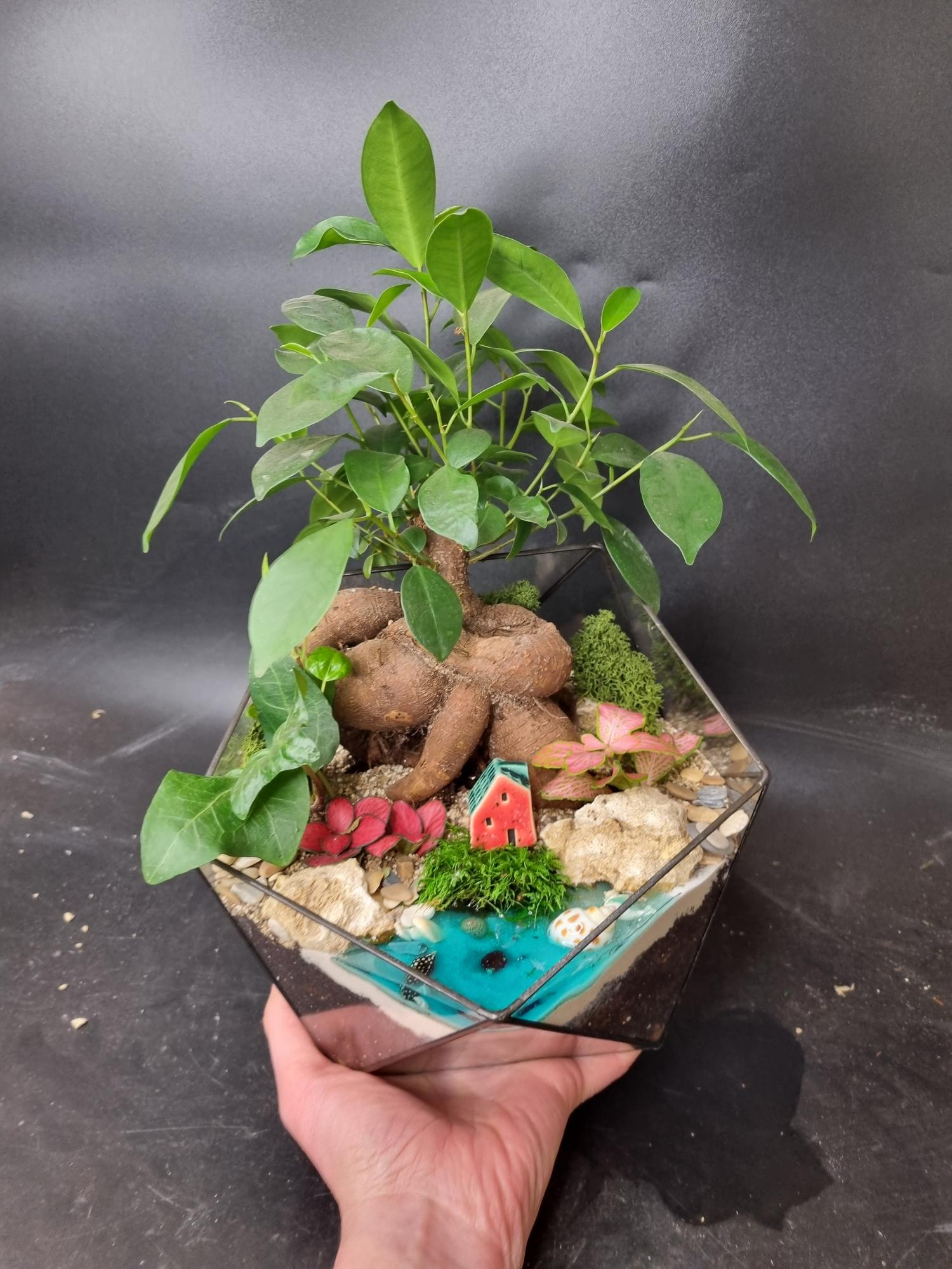 Бонсай в икосаэдре L с имитацией воды