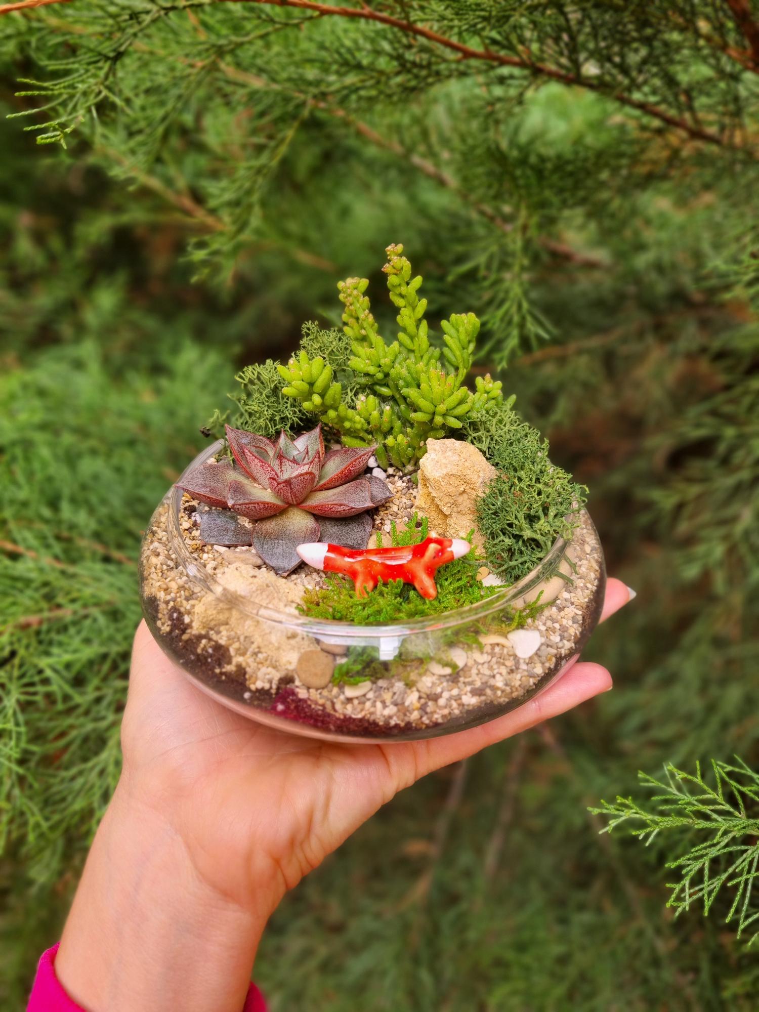 Минимир размер S с лисичкой