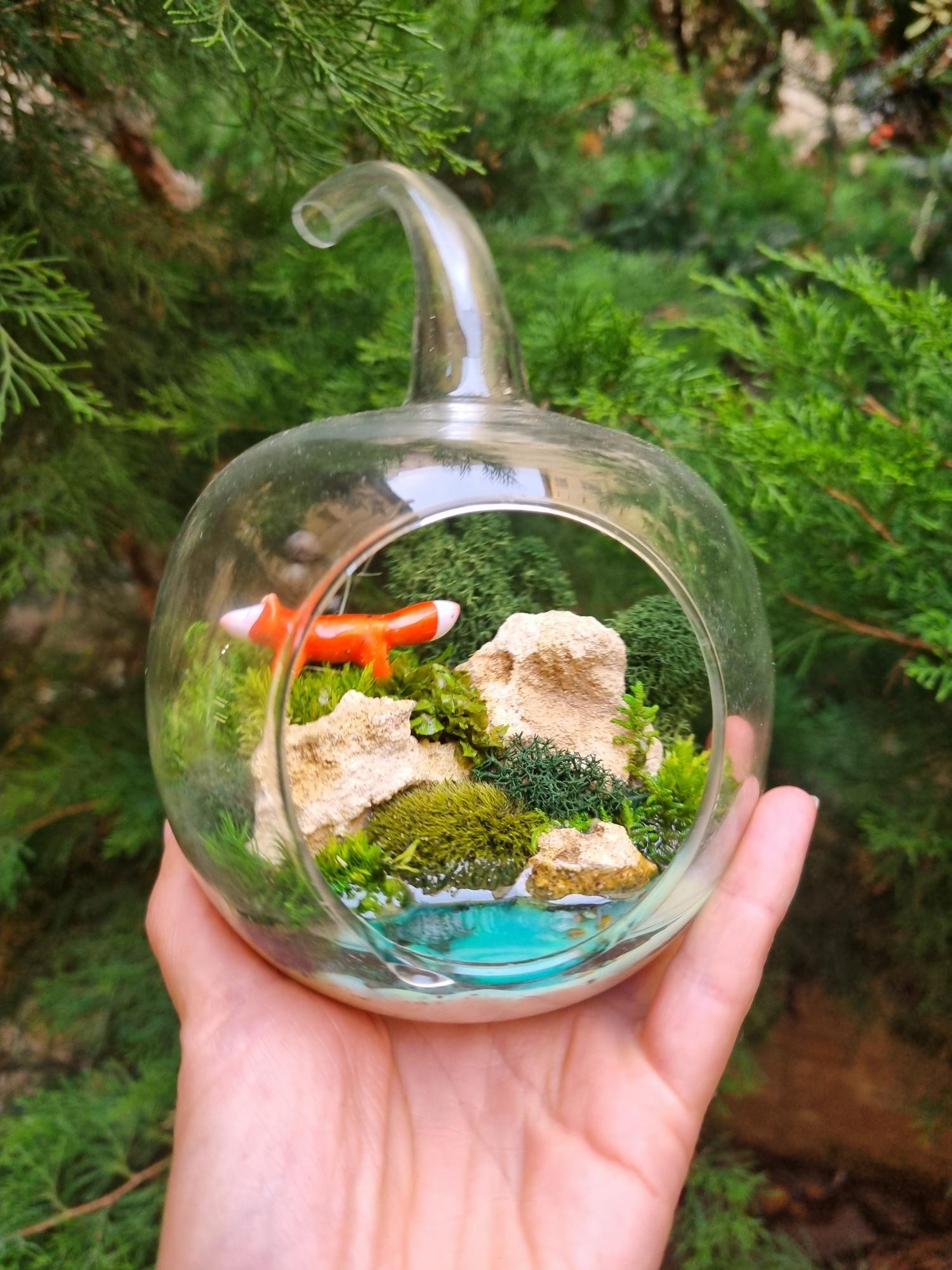 Моссариум яблочко с лисой