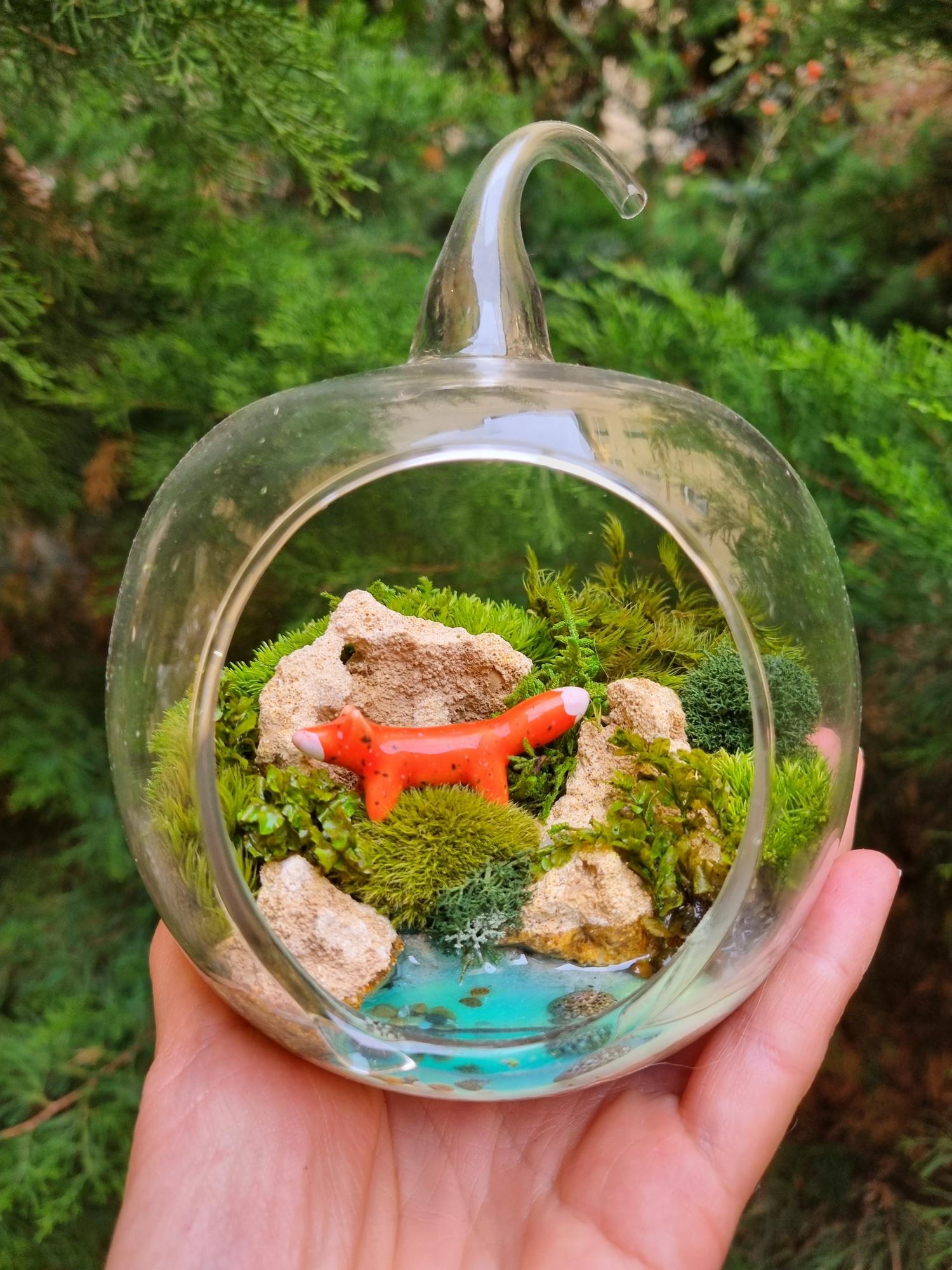 Моссариум яблочко с лисой