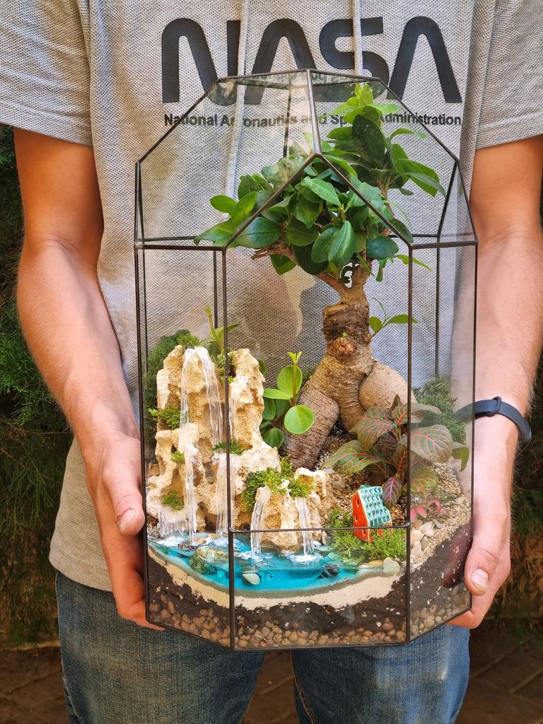 Бонсай в тепличке L и водопадом