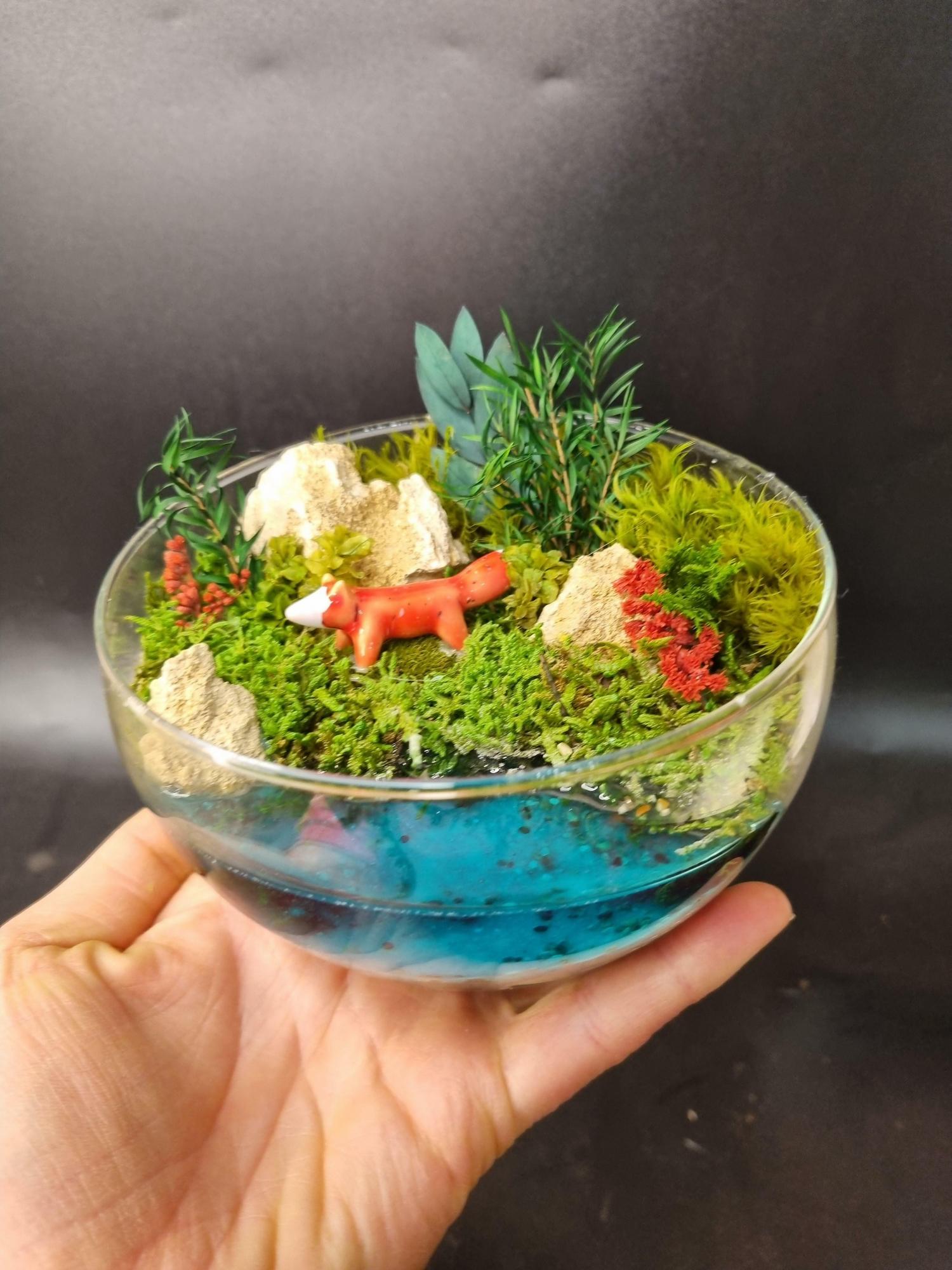 Моссариум в сфере S с лисой