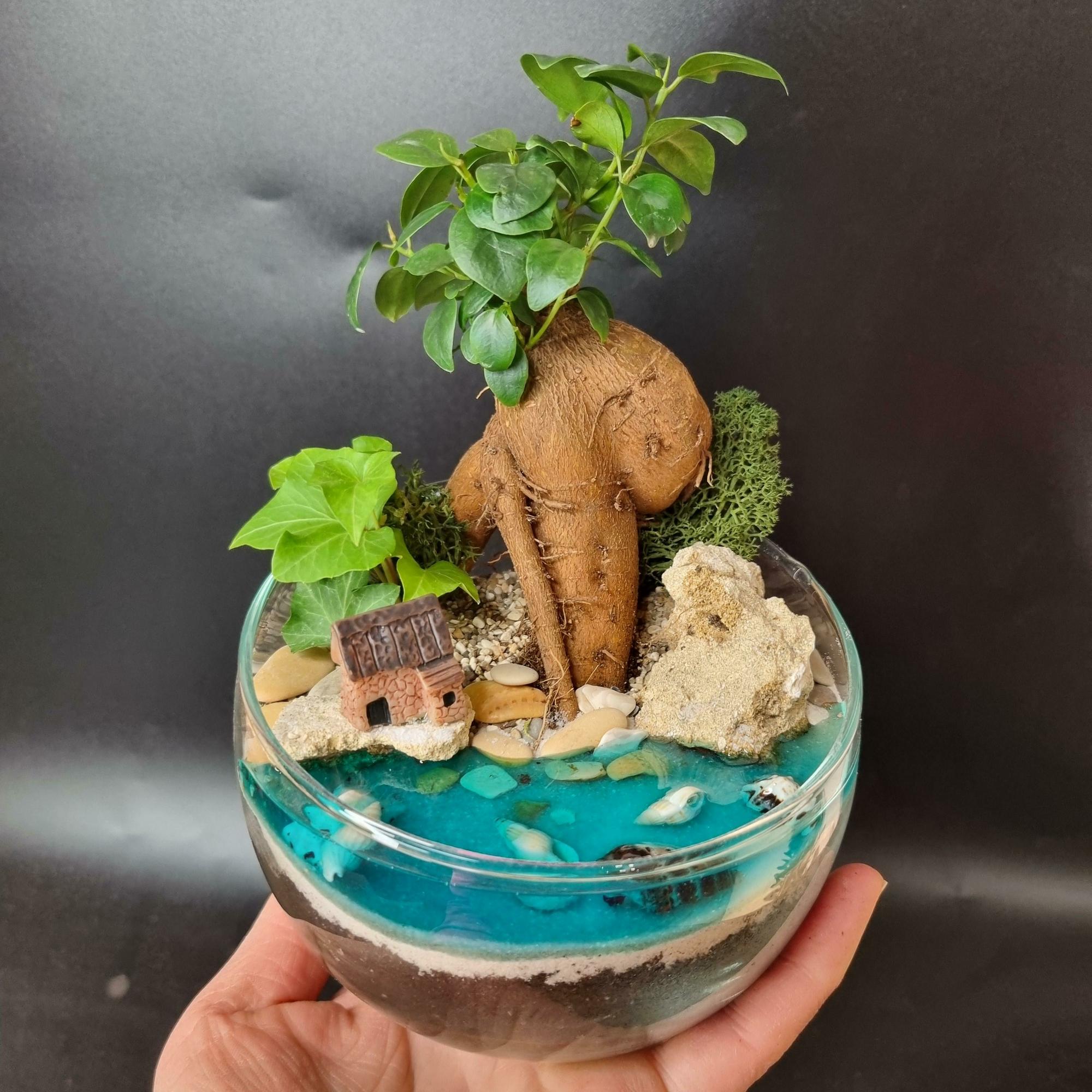 Бонсай Фикус в сфере S с имитацией воды