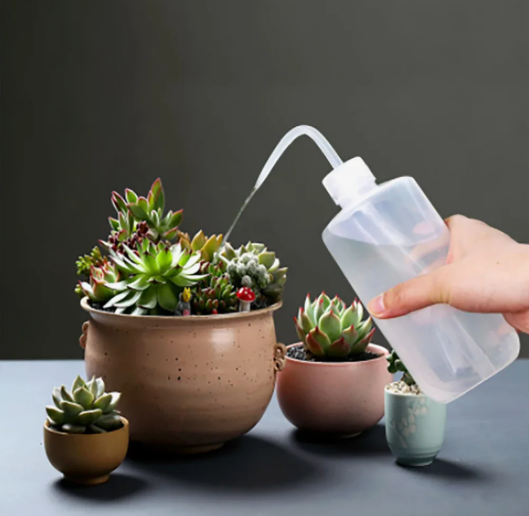 Лейка для флорариума