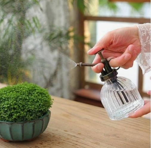 Стеклянный опрыскиватель