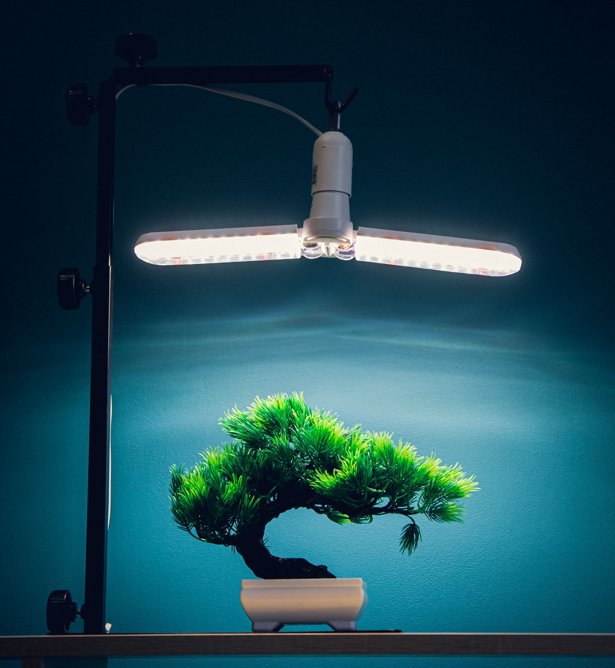 Фитолампа лепесток (полный спектр)