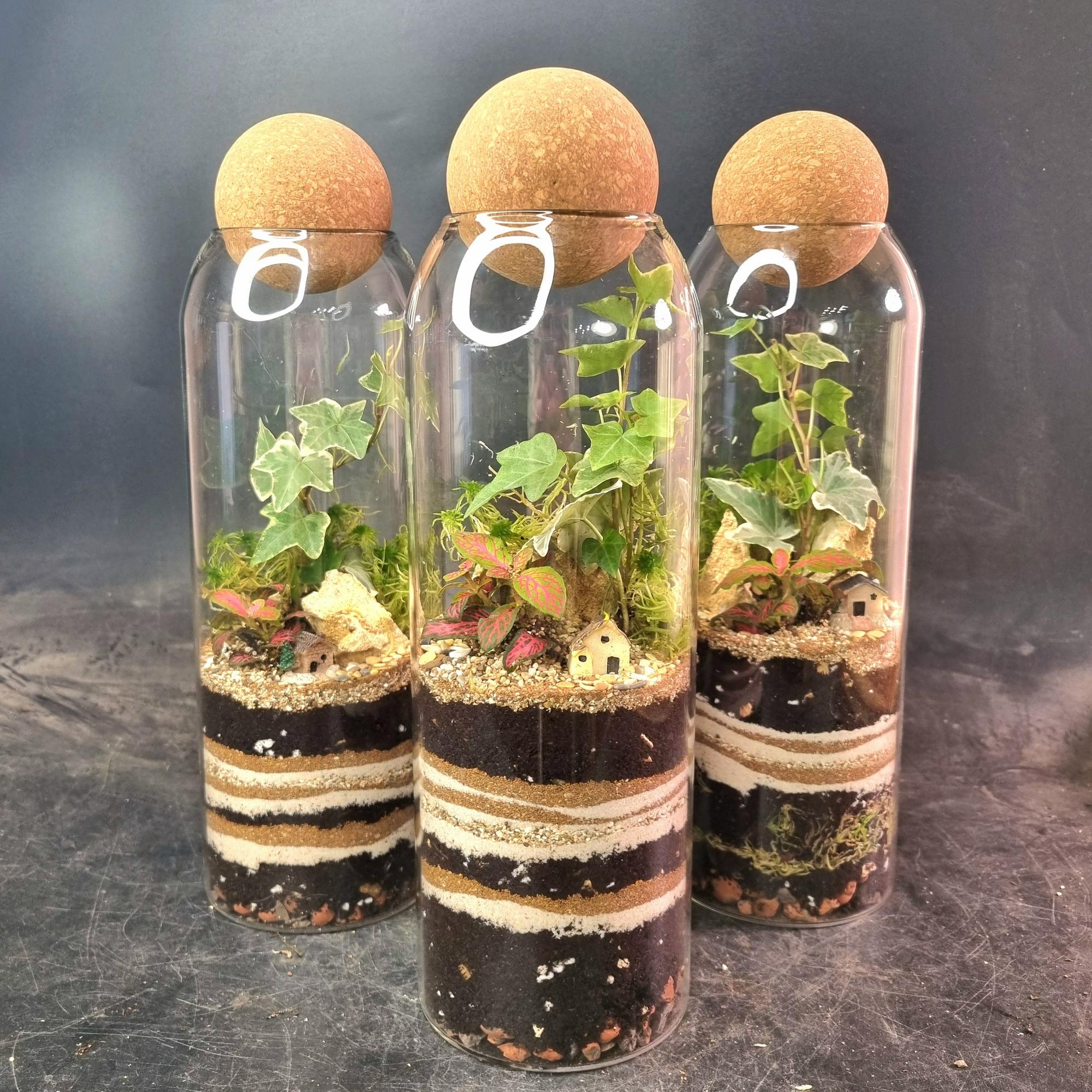 Флорариум колба (закрытая эко-система)