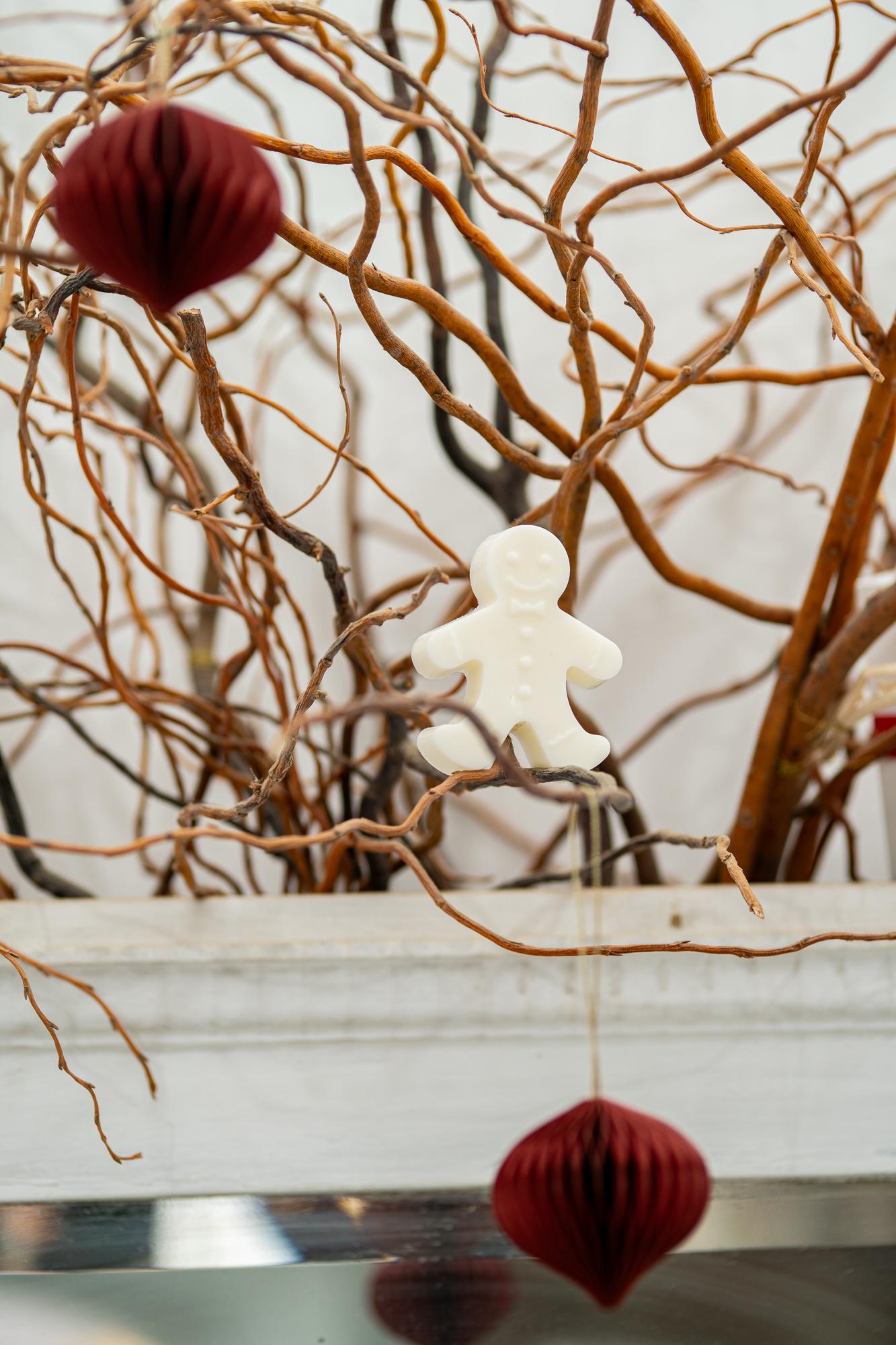 Восковое саше Пряня