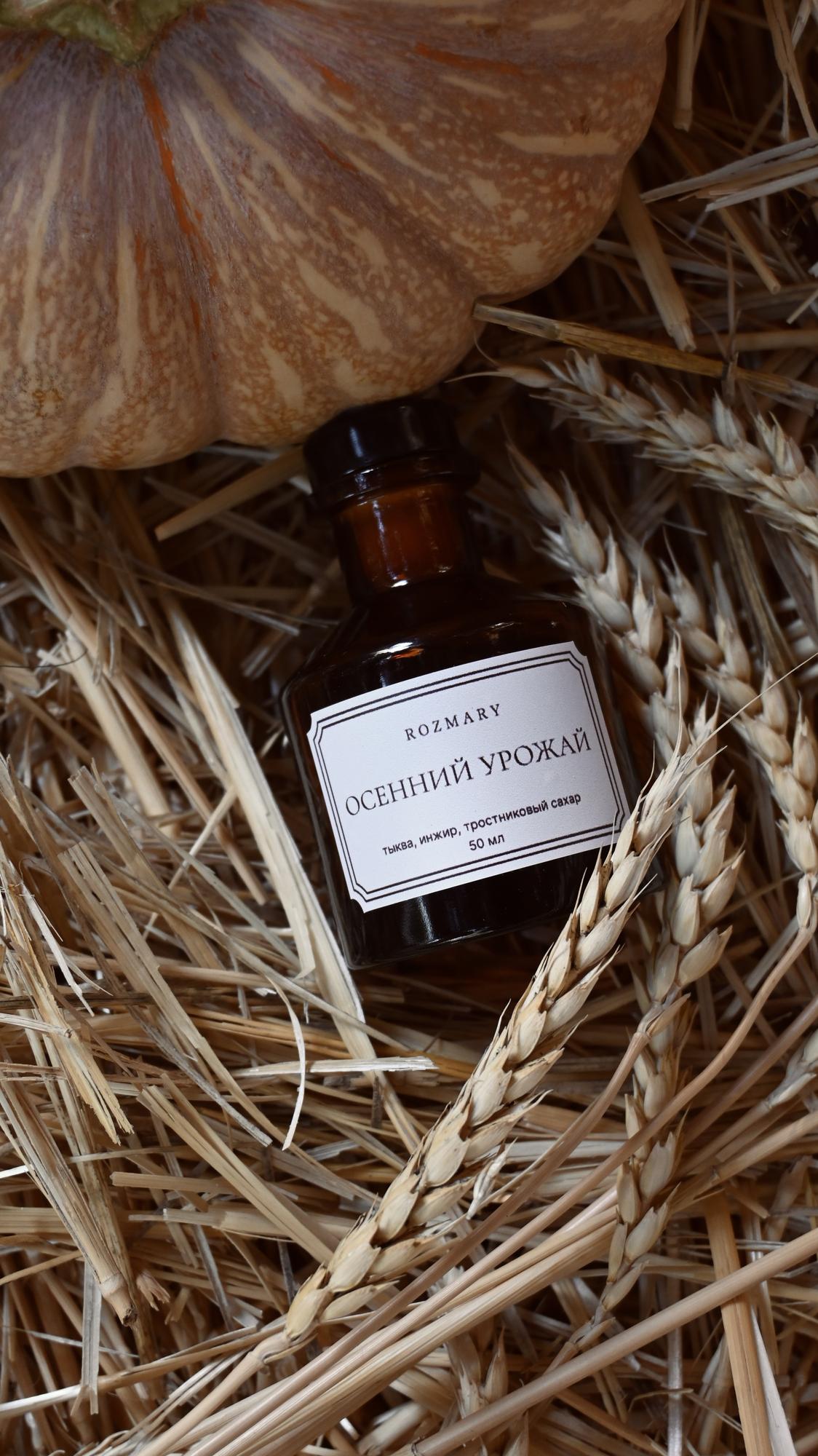 Диффузор Осенний урожай