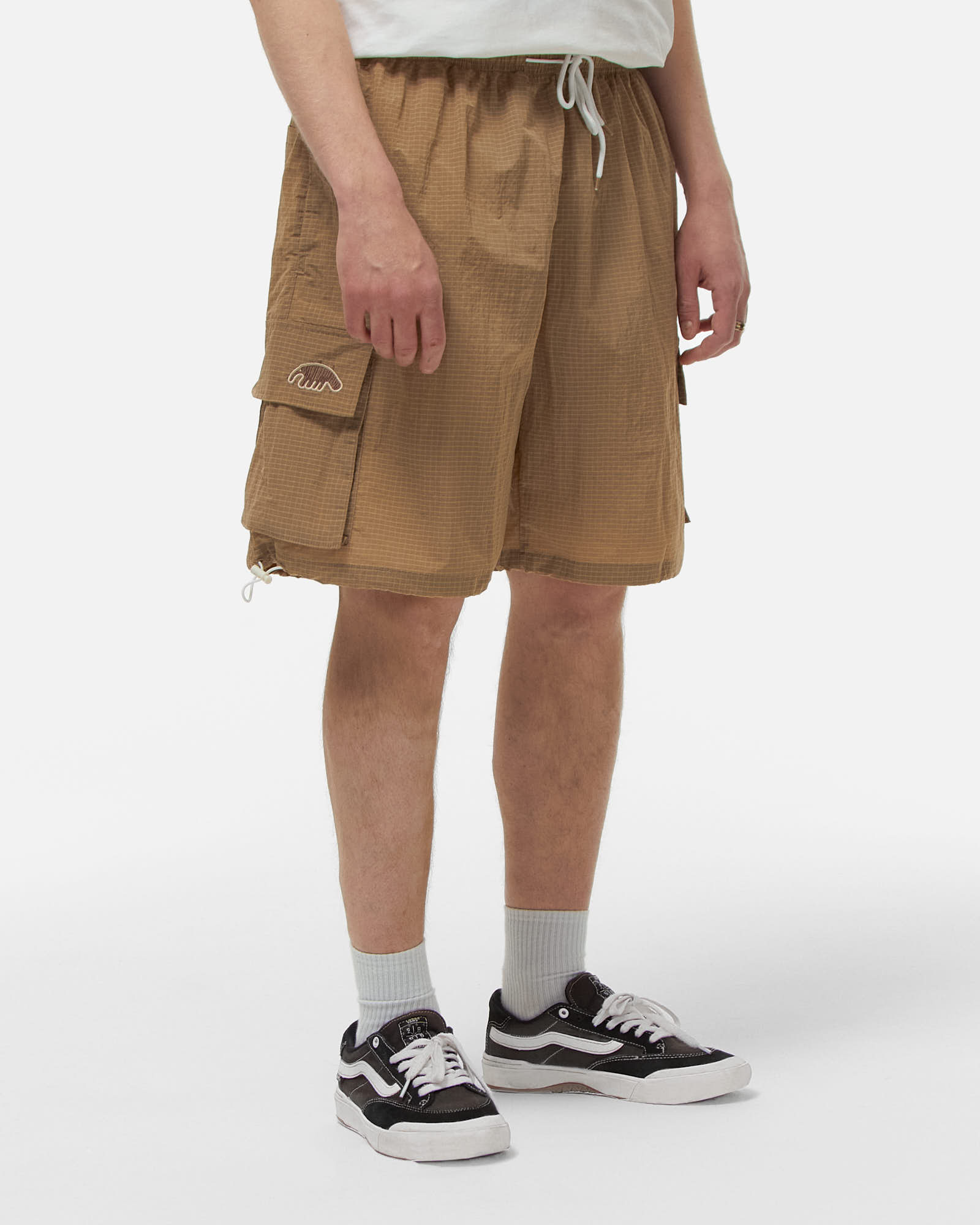 Шорты Anteater Boxy Cargo