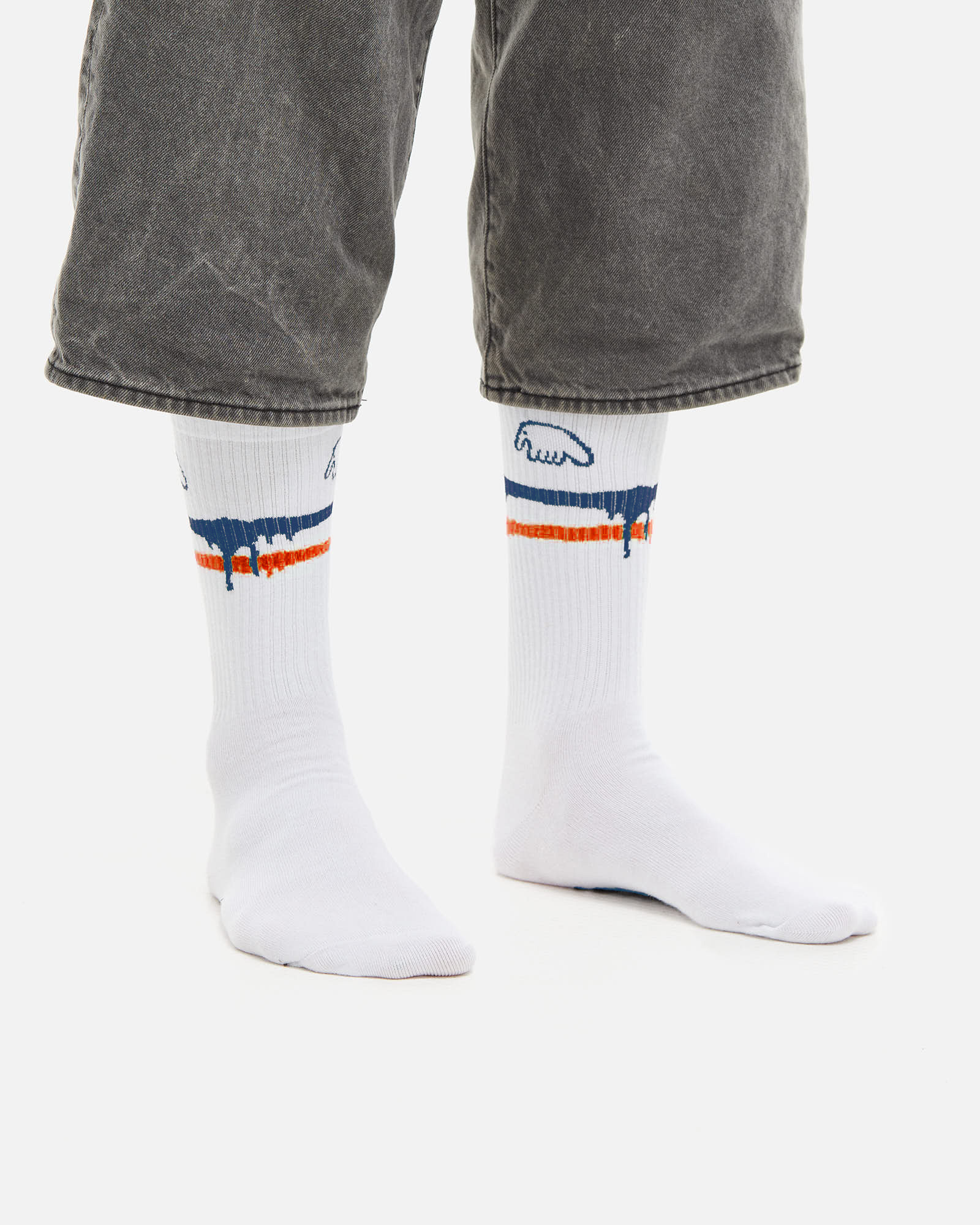 Носки Anteater Socks