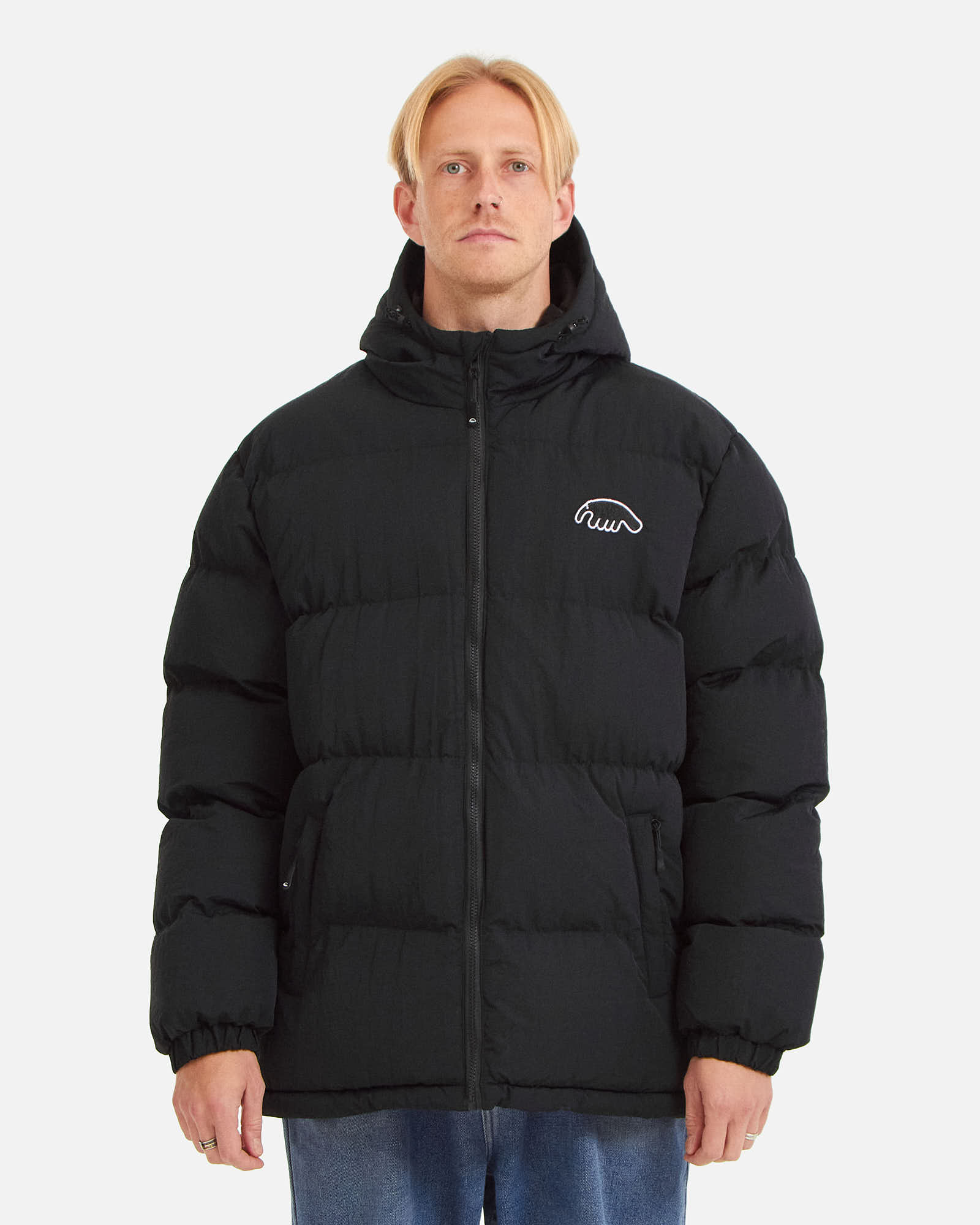 Куртка Anteater Down Hood