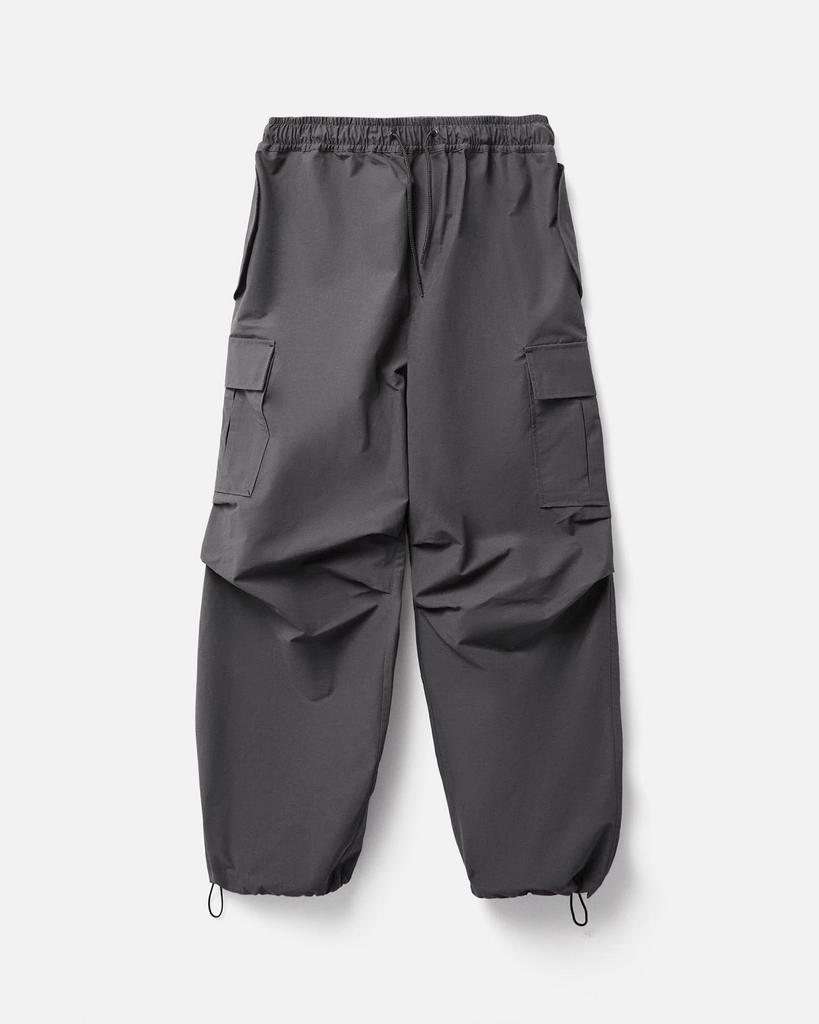 Брюки Anteater Parachute Cargo