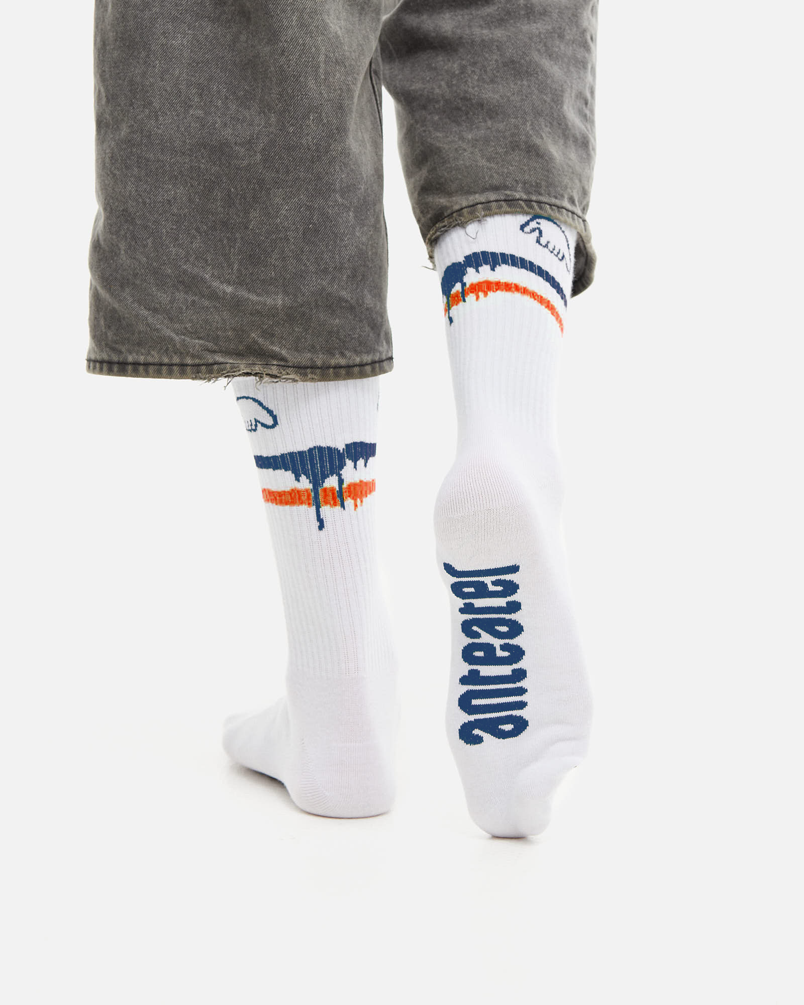 Носки Anteater Socks